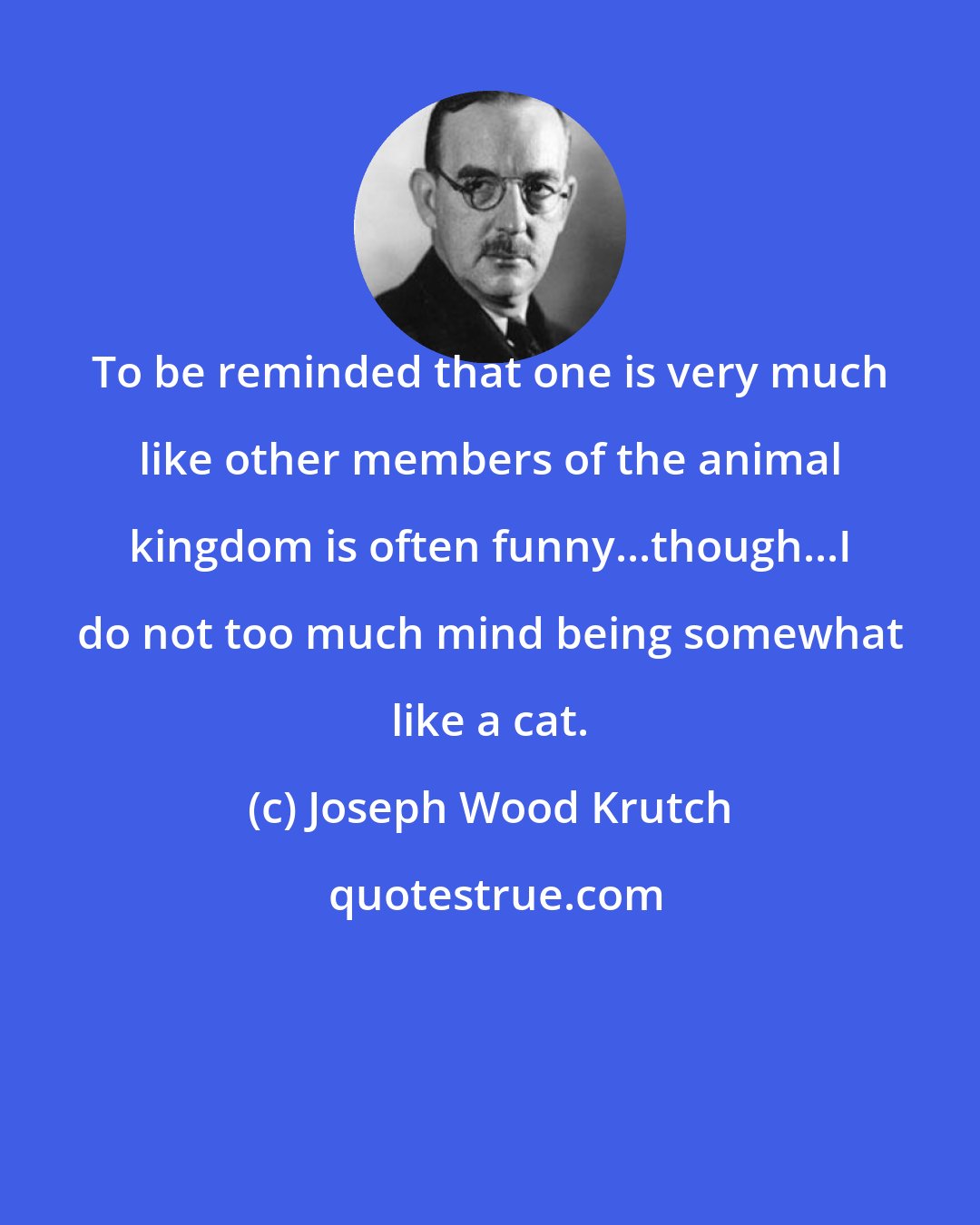 Joseph Wood Krutch: To be reminded that one is very much like other members of the animal kingdom is often funny...though...I do not too much mind being somewhat like a cat.