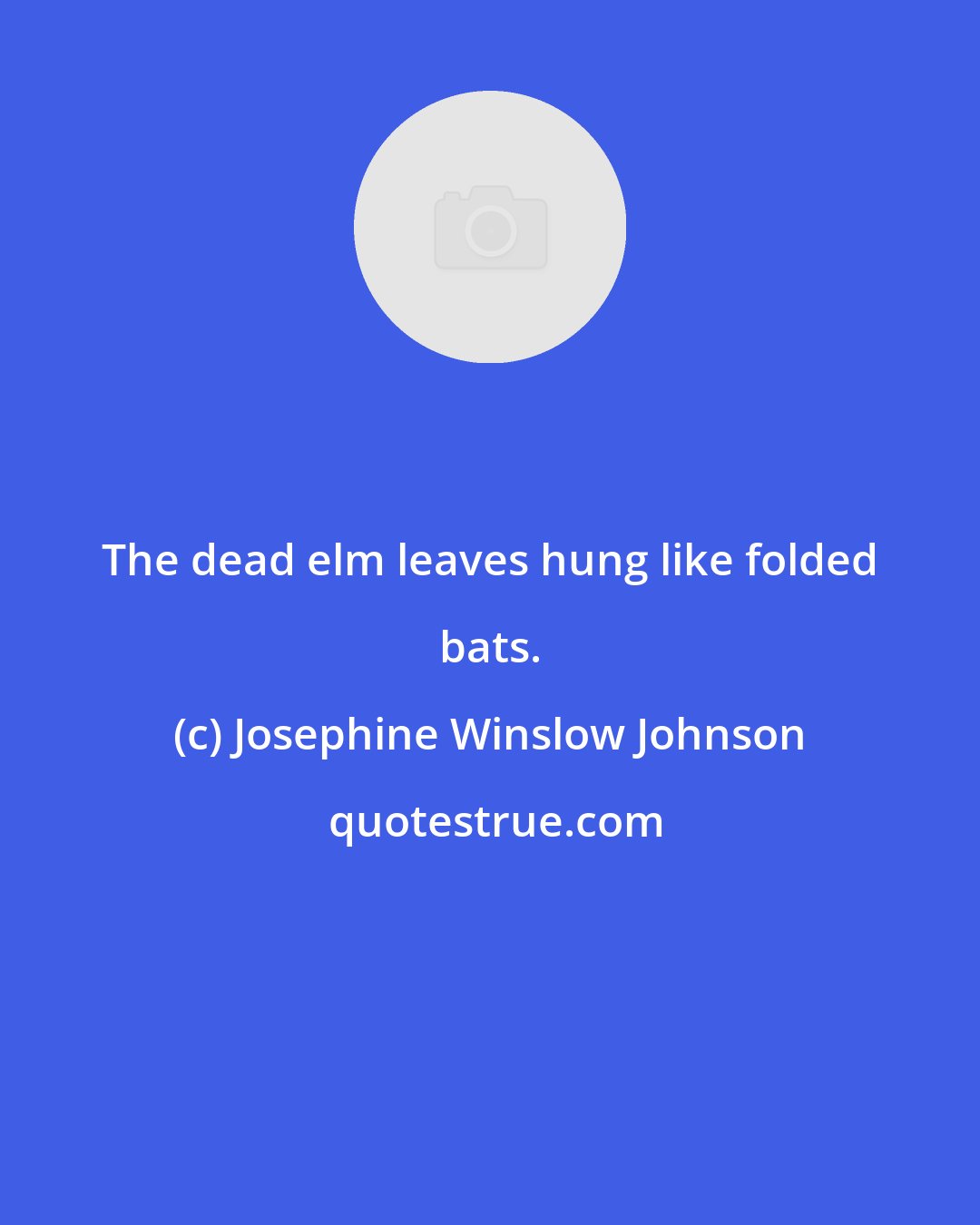 Josephine Winslow Johnson: The dead elm leaves hung like folded bats.