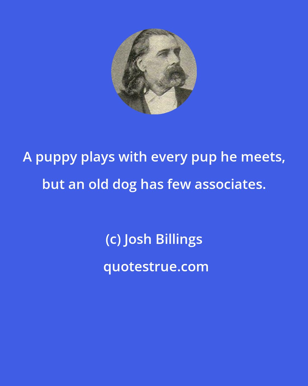 Josh Billings: A puppy plays with every pup he meets, but an old dog has few associates.