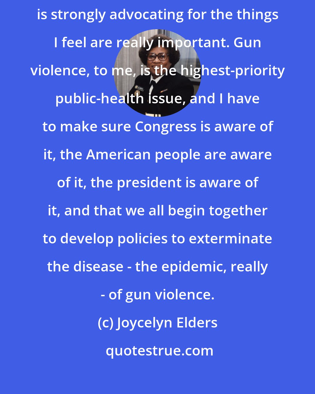 Joycelyn Elders: I've pretty much always used my positions as a bully pulpit. What that means is strongly advocating for the things I feel are really important. Gun violence, to me, is the highest-priority public-health issue, and I have to make sure Congress is aware of it, the American people are aware of it, the president is aware of it, and that we all begin together to develop policies to exterminate the disease - the epidemic, really - of gun violence.