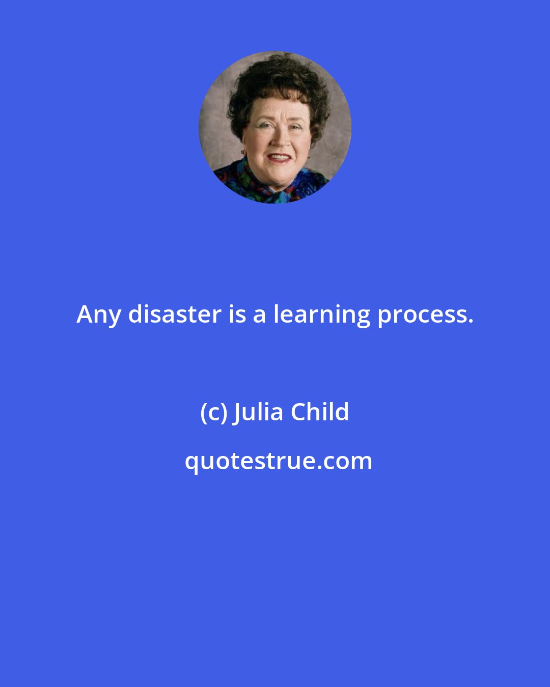 Julia Child: Any disaster is a learning process.