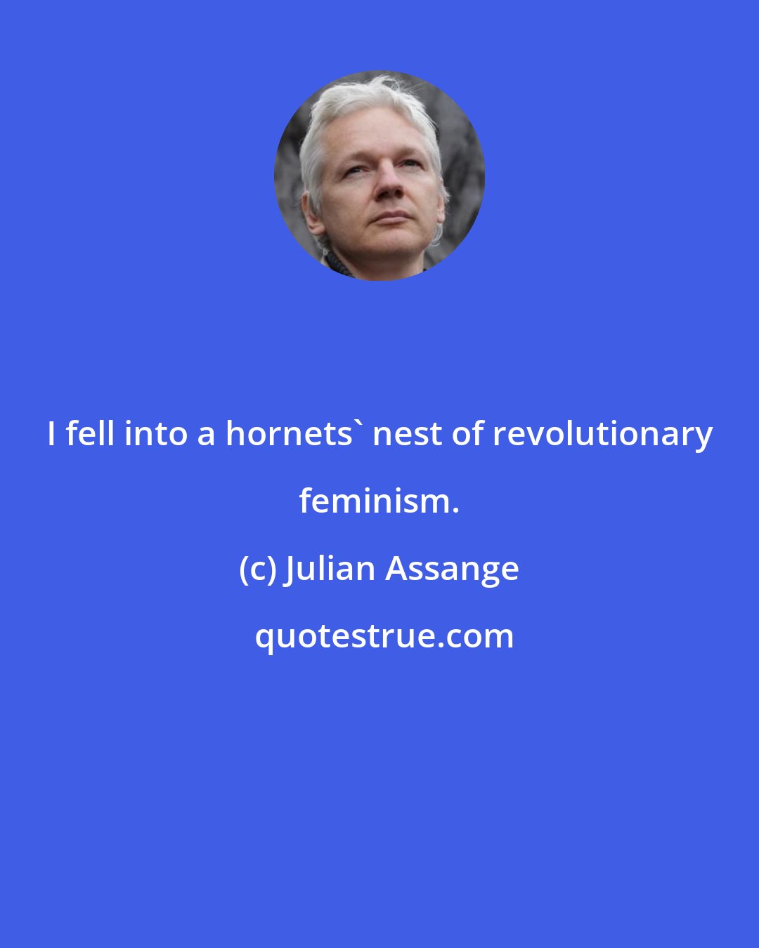 Julian Assange: I fell into a hornets' nest of revolutionary feminism.