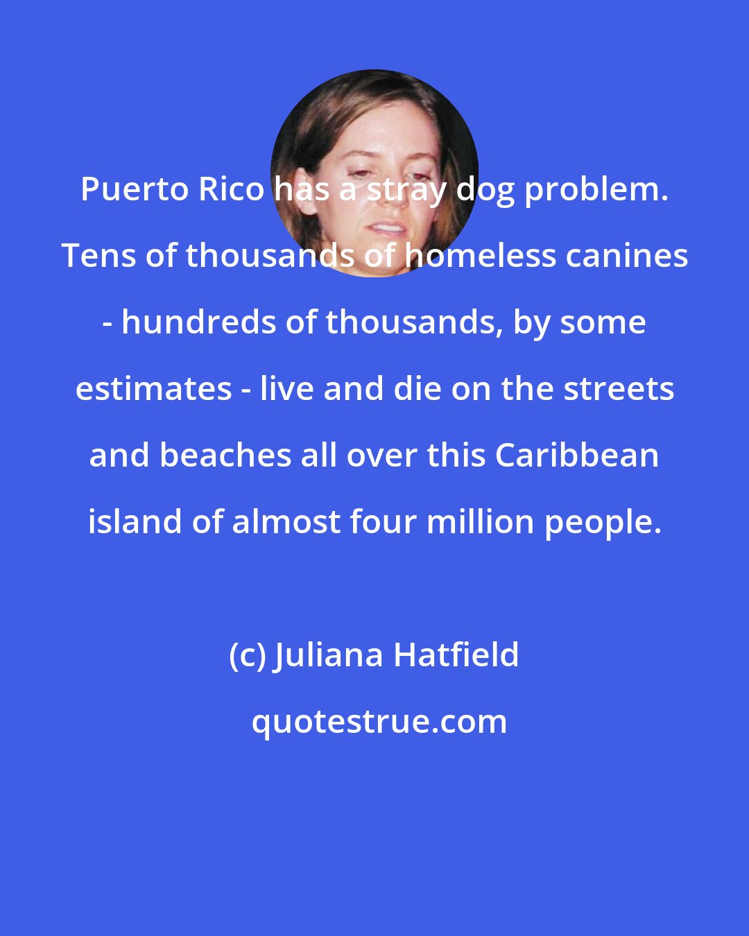 Juliana Hatfield: Puerto Rico has a stray dog problem. Tens of thousands of homeless canines - hundreds of thousands, by some estimates - live and die on the streets and beaches all over this Caribbean island of almost four million people.