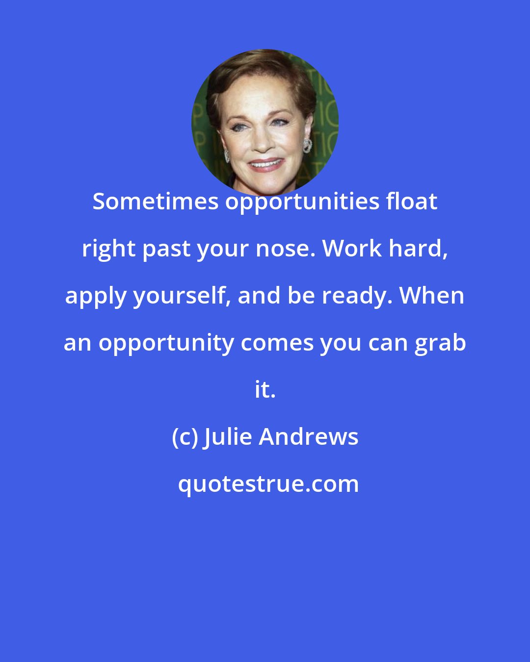Julie Andrews: Sometimes opportunities float right past your nose. Work hard, apply yourself, and be ready. When an opportunity comes you can grab it.
