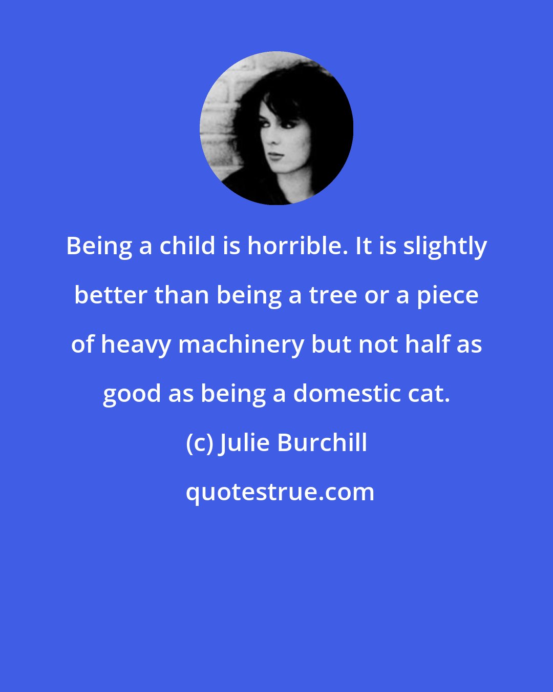 Julie Burchill: Being a child is horrible. It is slightly better than being a tree or a piece of heavy machinery but not half as good as being a domestic cat.