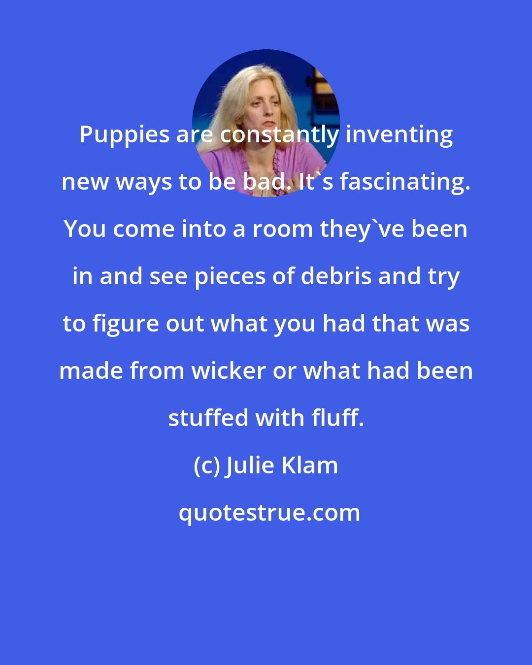 Julie Klam: Puppies are constantly inventing new ways to be bad. It's fascinating. You come into a room they've been in and see pieces of debris and try to figure out what you had that was made from wicker or what had been stuffed with fluff.