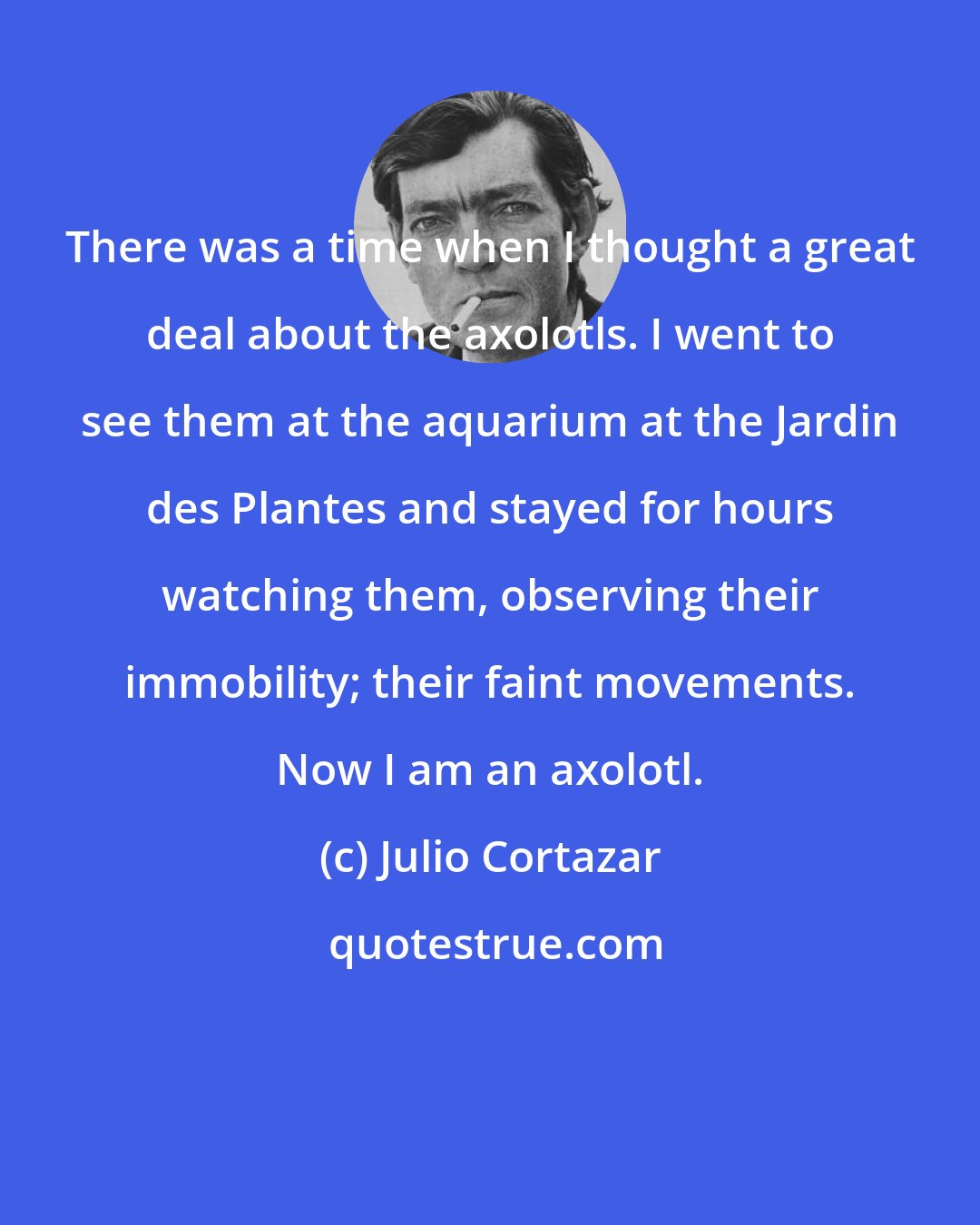 Julio Cortazar: There was a time when I thought a great deal about the axolotls. I went to see them at the aquarium at the Jardin des Plantes and stayed for hours watching them, observing their immobility; their faint movements. Now I am an axolotl.