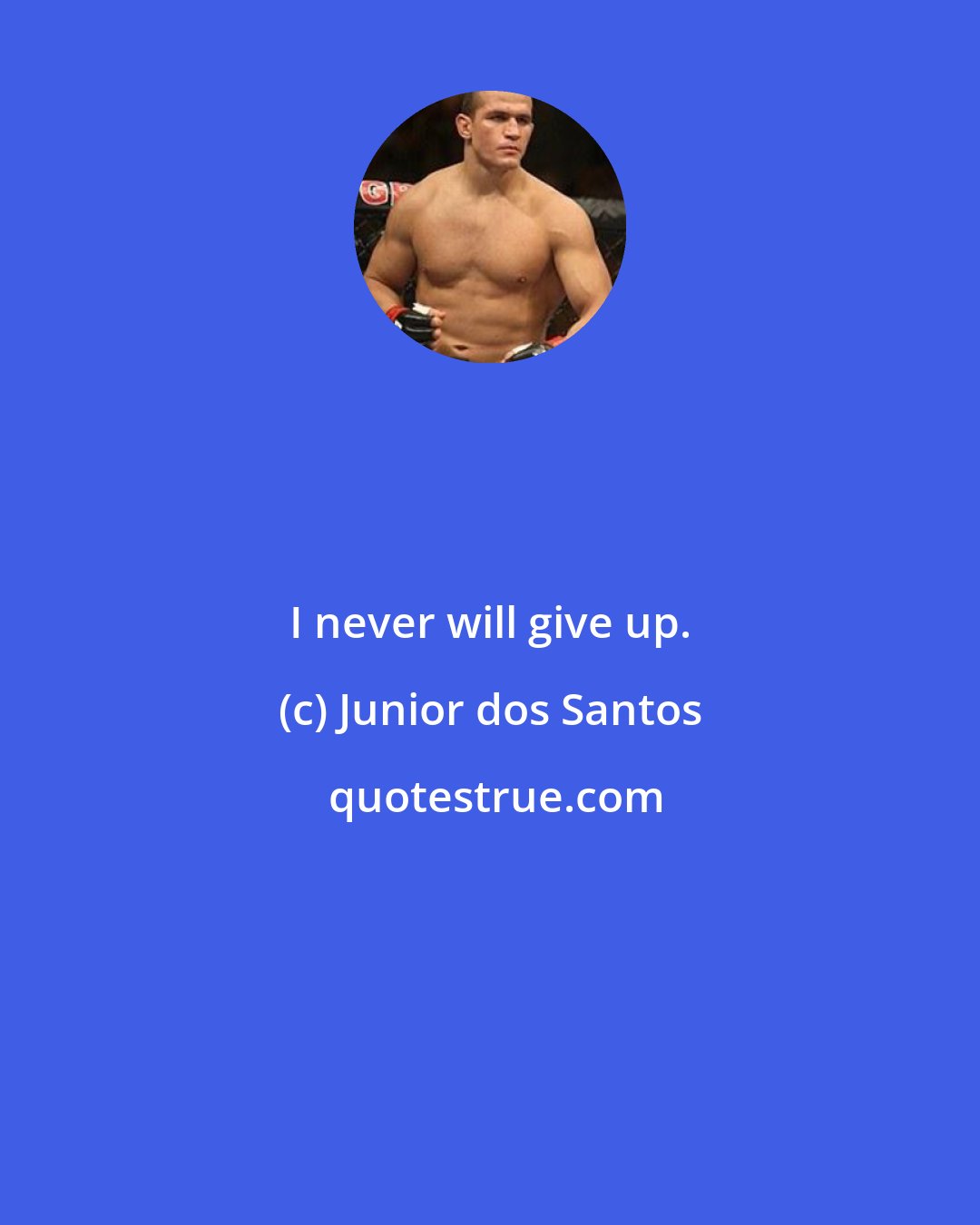 Junior dos Santos: I never will give up.