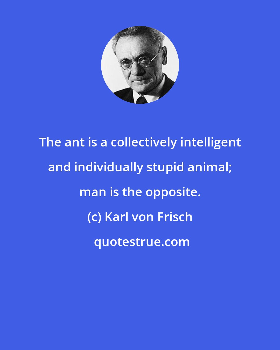 Karl von Frisch: The ant is a collectively intelligent and individually stupid animal; man is the opposite.
