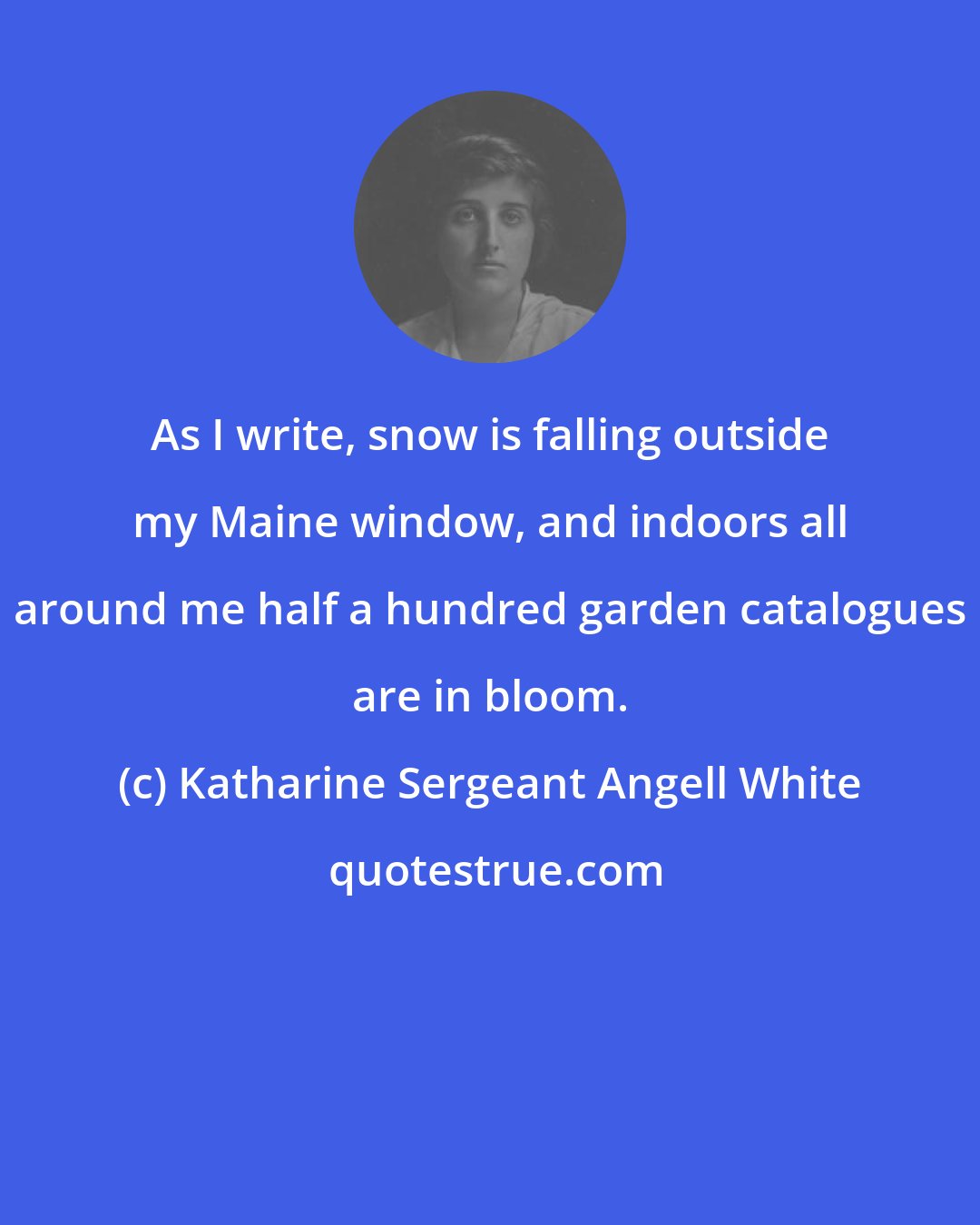 Katharine Sergeant Angell White: As I write, snow is falling outside my Maine window, and indoors all around me half a hundred garden catalogues are in bloom.