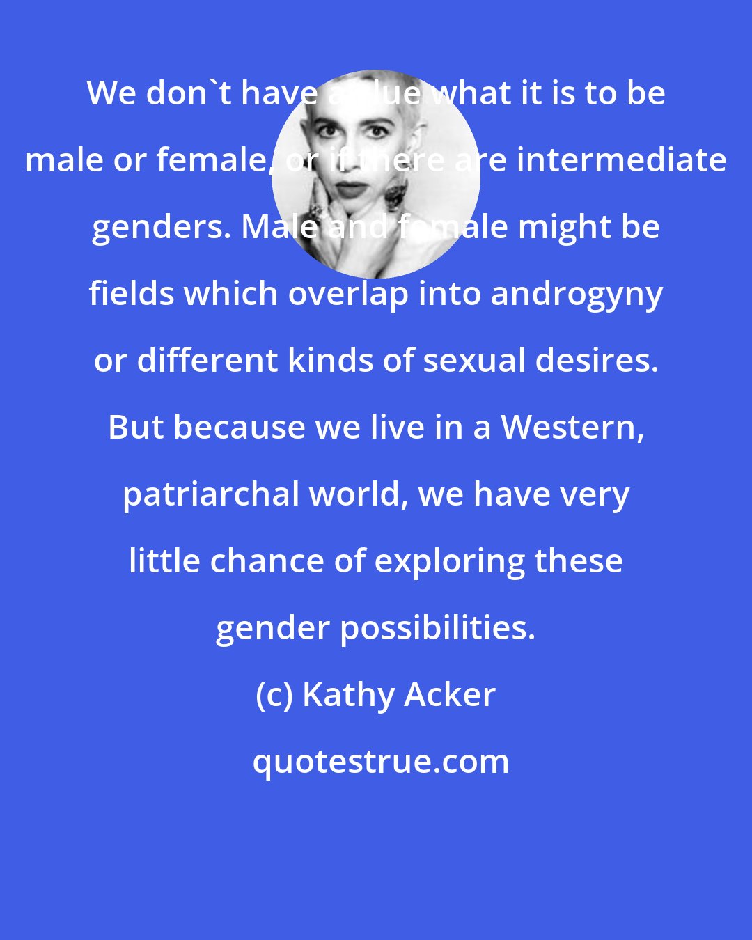 Kathy Acker: We don't have a clue what it is to be male or female, or if there are intermediate genders. Male and female might be fields which overlap into androgyny or different kinds of sexual desires. But because we live in a Western, patriarchal world, we have very little chance of exploring these gender possibilities.
