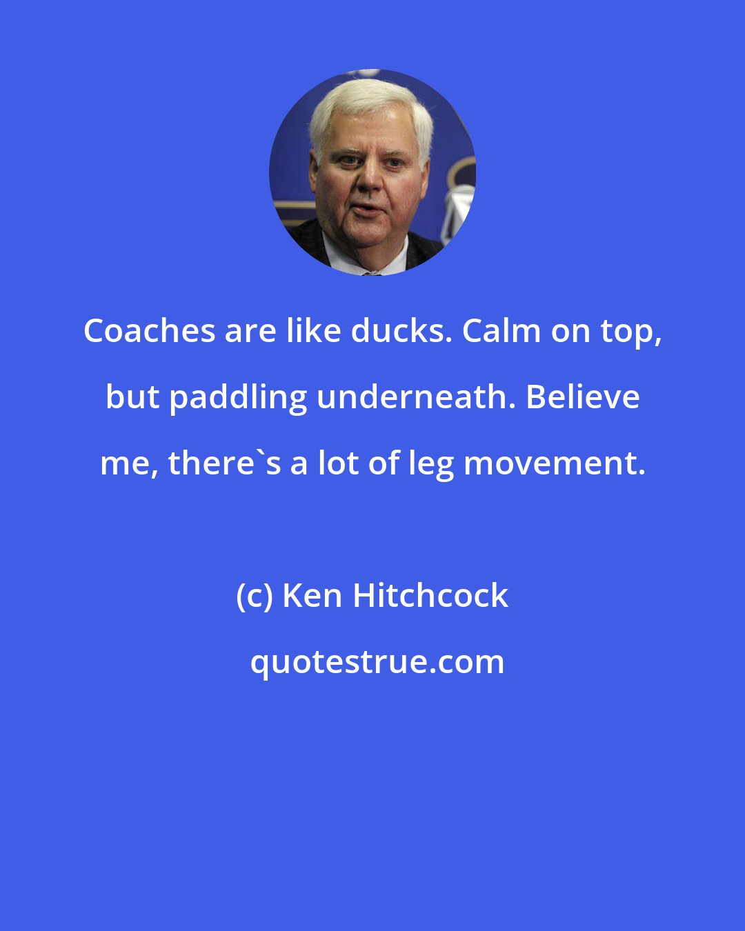 Ken Hitchcock: Coaches are like ducks. Calm on top, but paddling underneath. Believe me, there's a lot of leg movement.