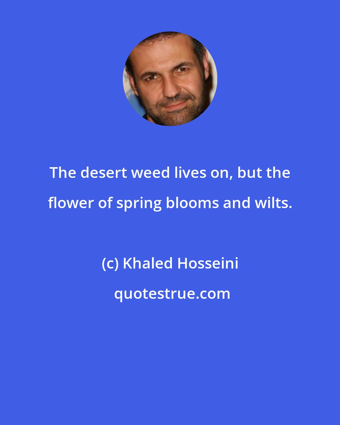 Khaled Hosseini: The desert weed lives on, but the flower of spring blooms and wilts.