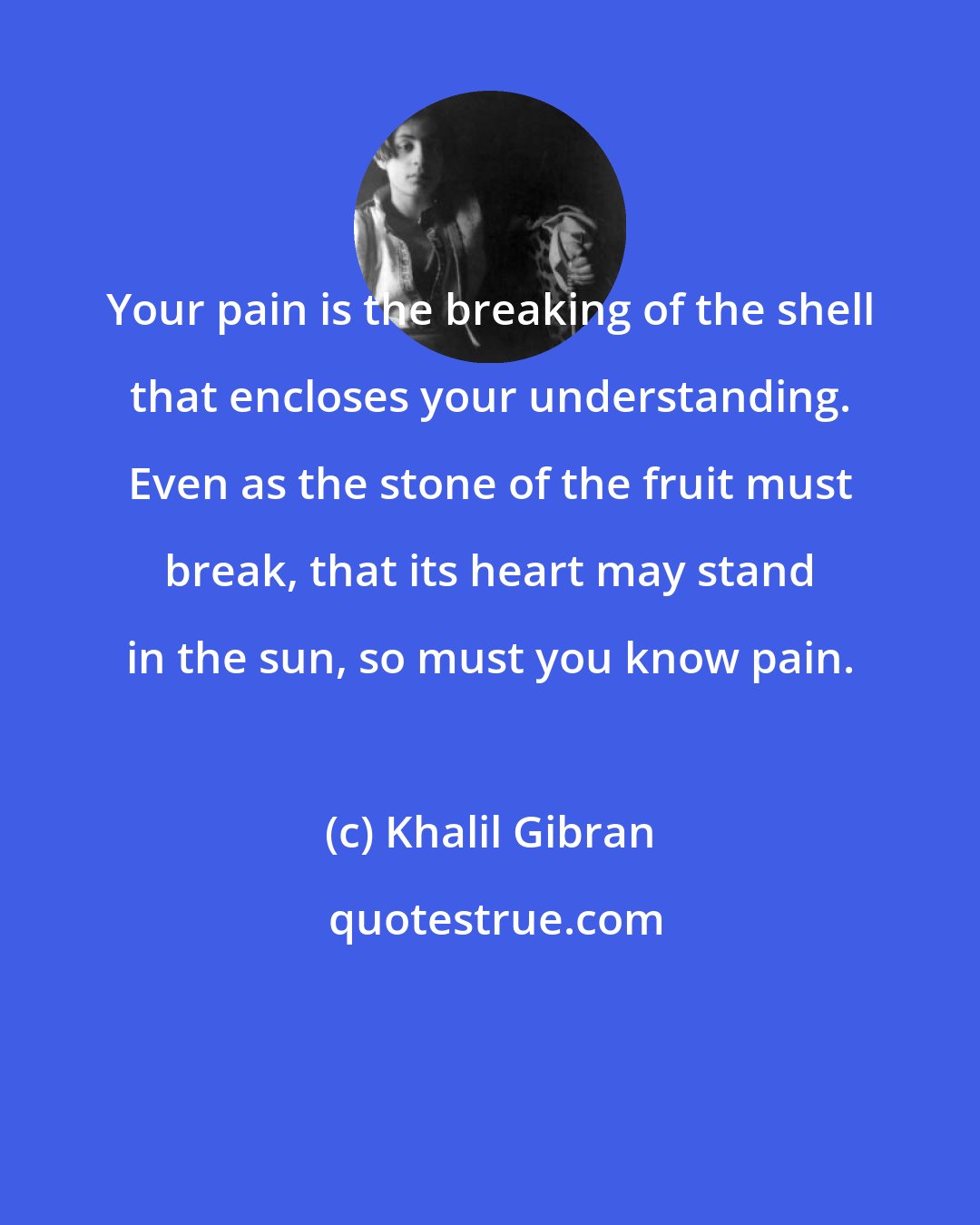 Khalil Gibran: Your pain is the breaking of the shell that encloses your understanding. Even as the stone of the fruit must break, that its heart may stand in the sun, so must you know pain.