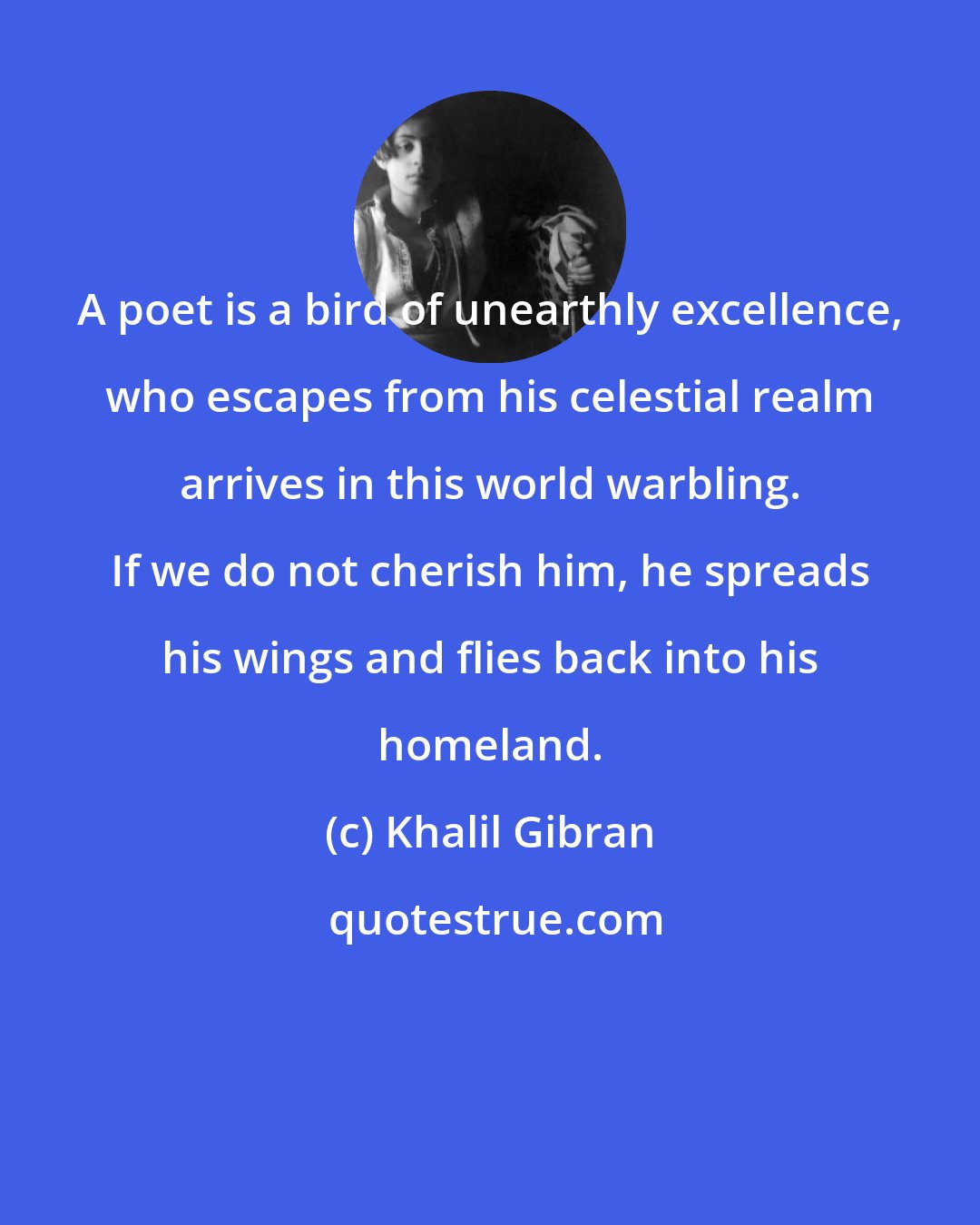 Khalil Gibran: A poet is a bird of unearthly excellence, who escapes from his celestial realm arrives in this world warbling. If we do not cherish him, he spreads his wings and flies back into his homeland.