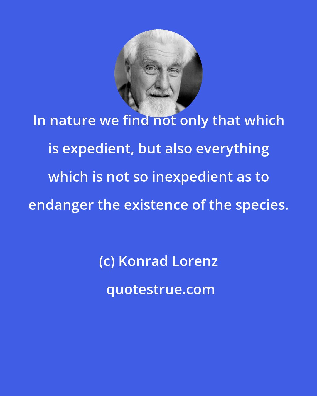 Konrad Lorenz: In nature we find not only that which is expedient, but also everything which is not so inexpedient as to endanger the existence of the species.