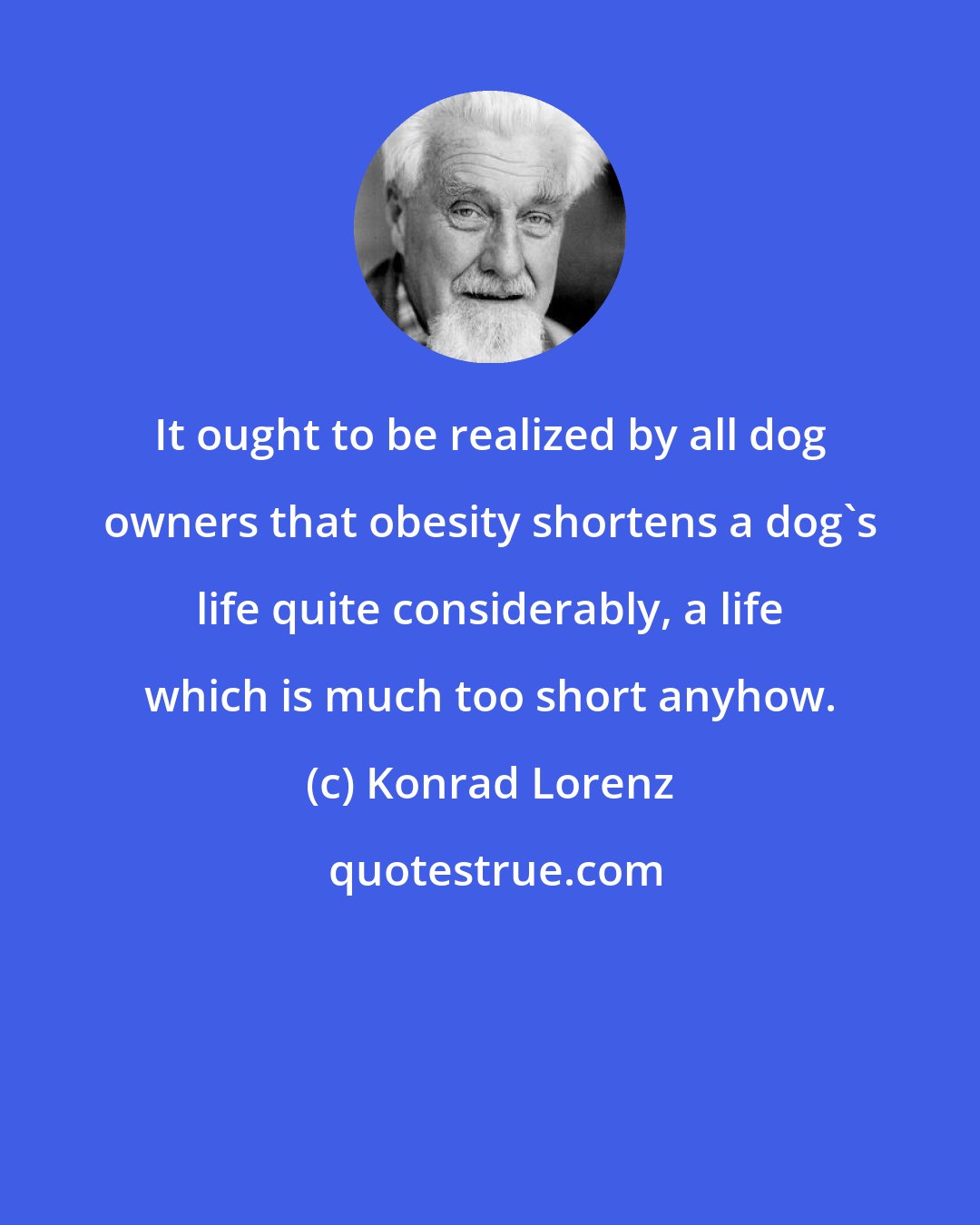 Konrad Lorenz: It ought to be realized by all dog owners that obesity shortens a dog's life quite considerably, a life which is much too short anyhow.