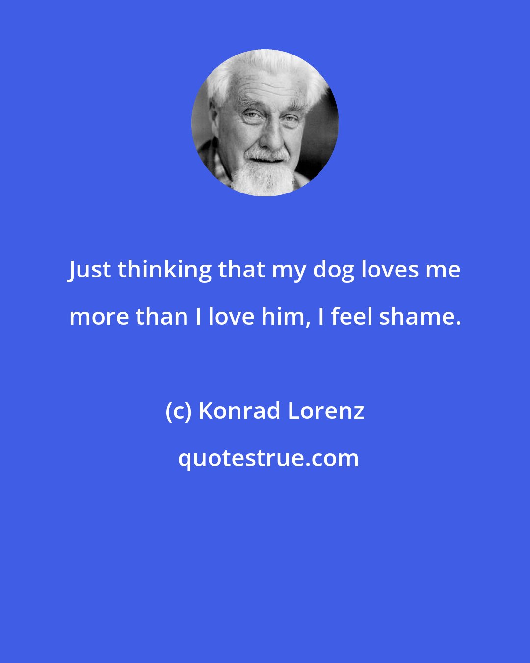 Konrad Lorenz: Just thinking that my dog loves me more than I love him, I feel shame.