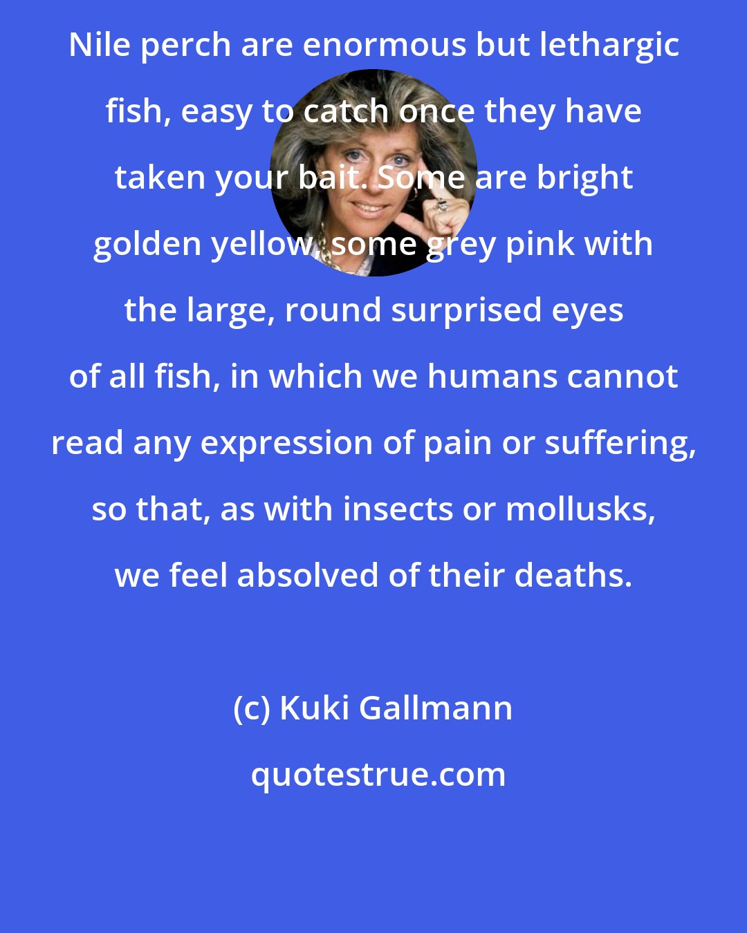 Kuki Gallmann: Nile perch are enormous but lethargic fish, easy to catch once they have taken your bait. Some are bright golden yellow, some grey pink with the large, round surprised eyes of all fish, in which we humans cannot read any expression of pain or suffering, so that, as with insects or mollusks, we feel absolved of their deaths.