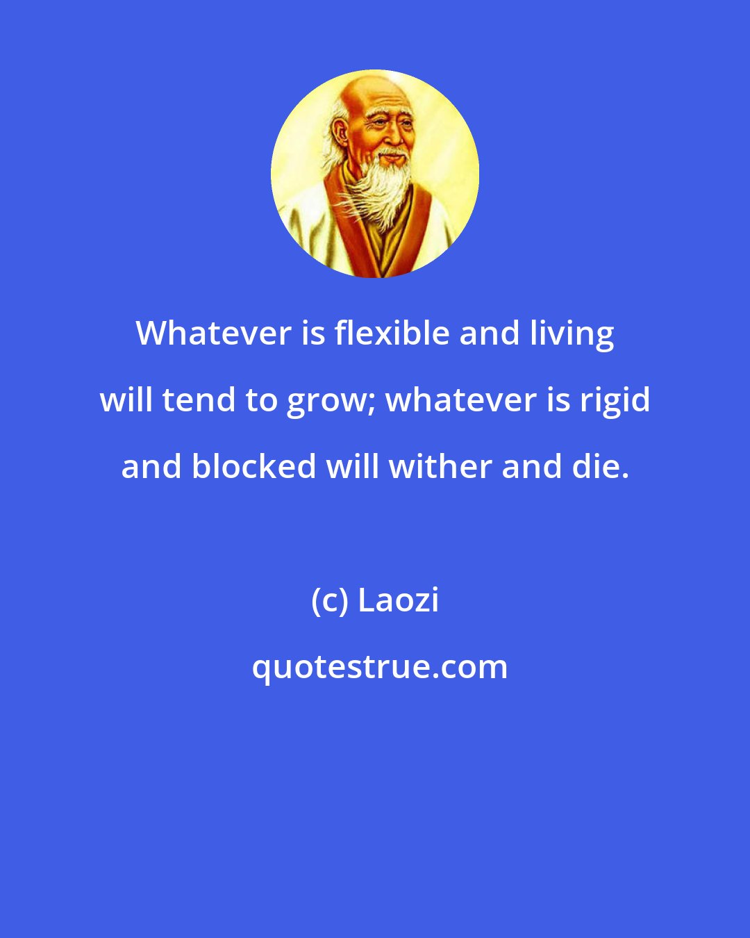Laozi: Whatever is flexible and living will tend to grow; whatever is rigid and blocked will wither and die.