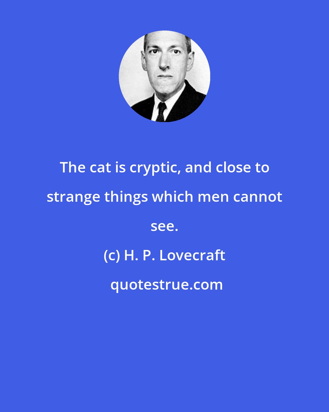 H. P. Lovecraft: The cat is cryptic, and close to strange things which men cannot see.