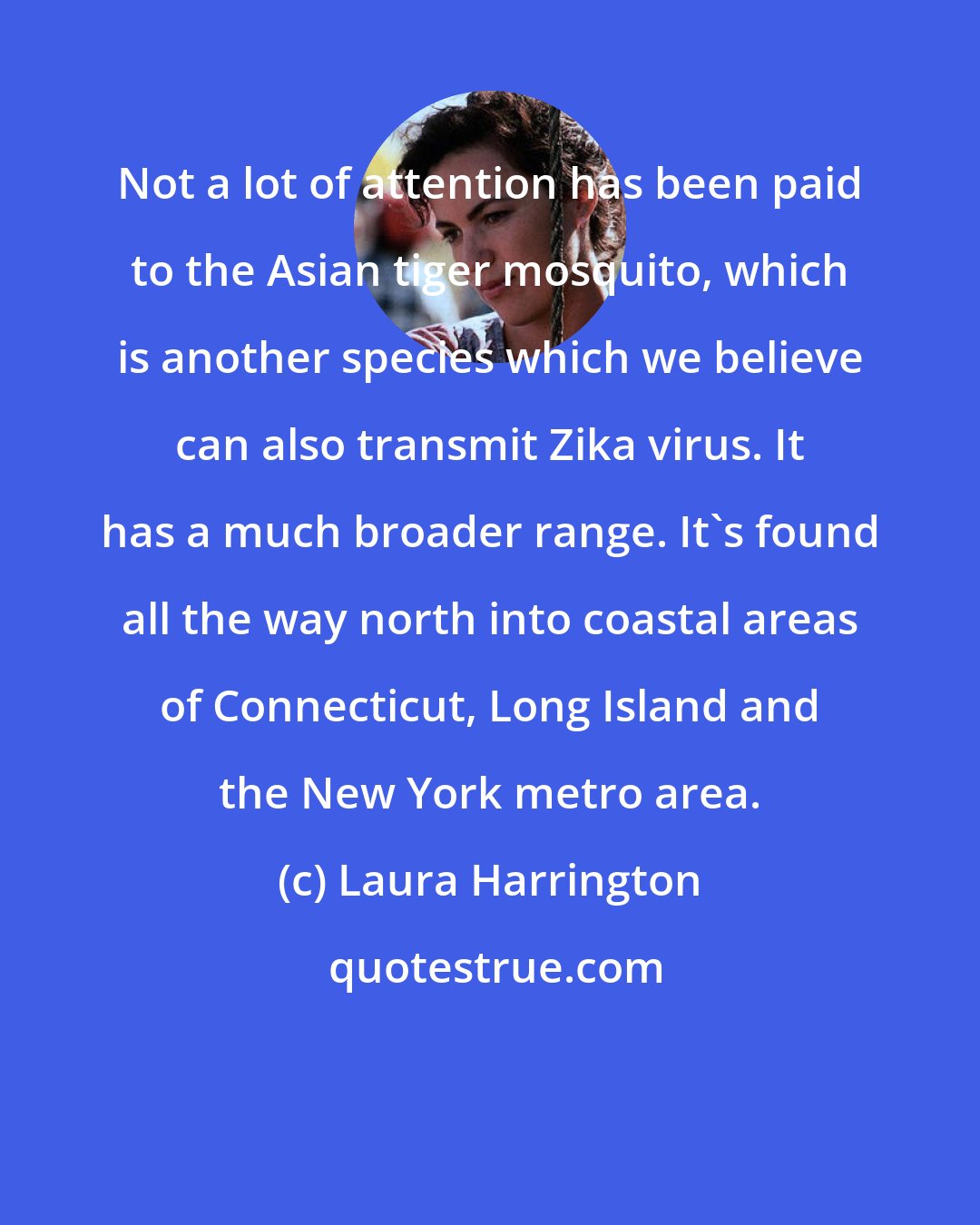 Laura Harrington: Not a lot of attention has been paid to the Asian tiger mosquito, which is another species which we believe can also transmit Zika virus. It has a much broader range. It's found all the way north into coastal areas of Connecticut, Long Island and the New York metro area.