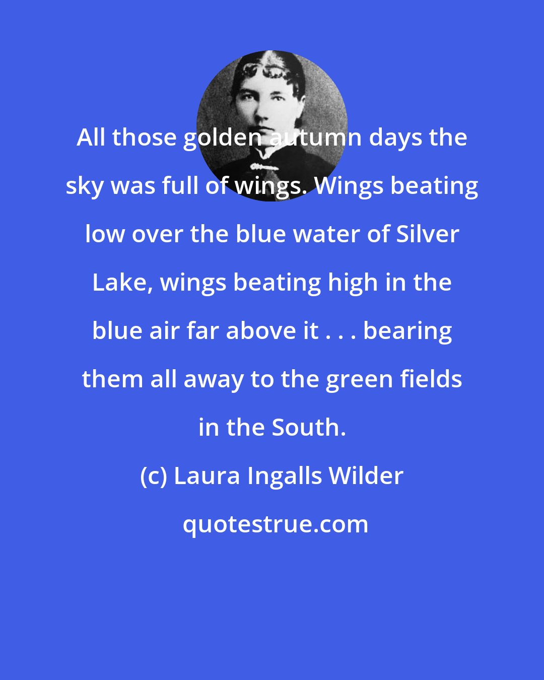 Laura Ingalls Wilder: All those golden autumn days the sky was full of wings. Wings beating low over the blue water of Silver Lake, wings beating high in the blue air far above it . . . bearing them all away to the green fields in the South.