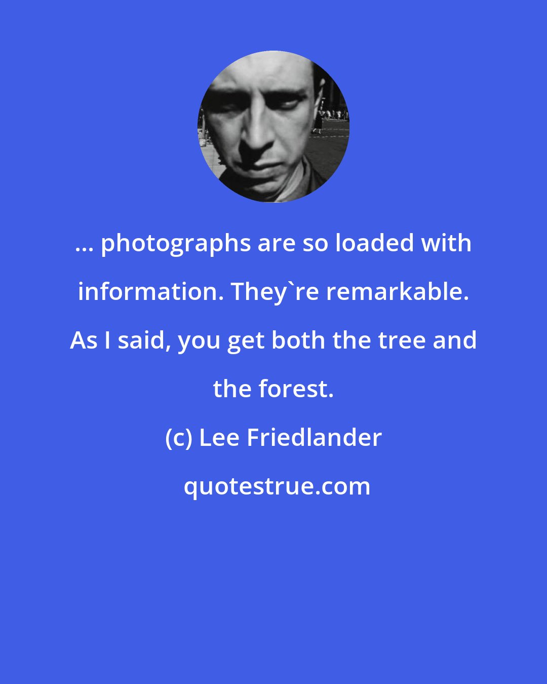 Lee Friedlander: ... photographs are so loaded with information. They're remarkable. As I said, you get both the tree and the forest.