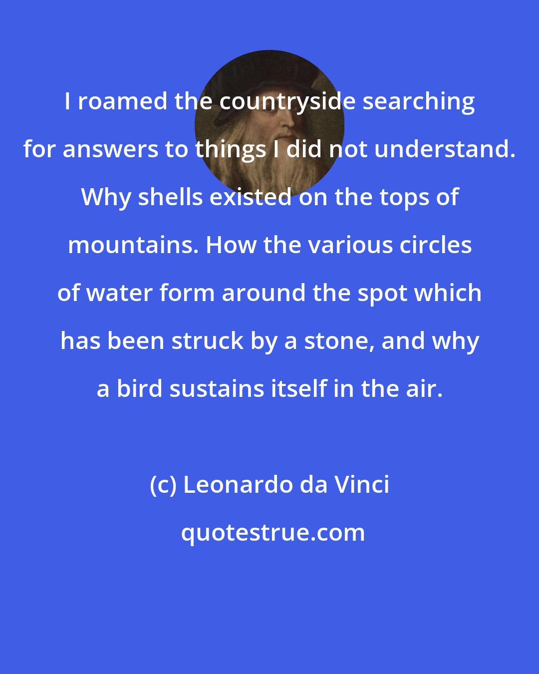 Leonardo da Vinci: I roamed the countryside searching for answers to things I did not understand. Why shells existed on the tops of mountains. How the various circles of water form around the spot which has been struck by a stone, and why a bird sustains itself in the air.