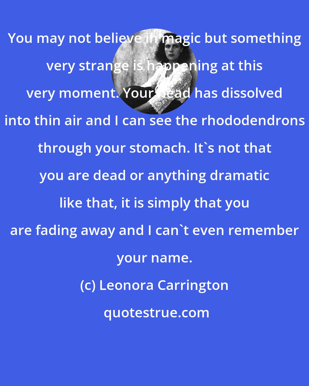 Leonora Carrington: You may not believe in magic but something very strange is happening at this very moment. Your head has dissolved into thin air and I can see the rhododendrons through your stomach. It's not that you are dead or anything dramatic like that, it is simply that you are fading away and I can't even remember your name.
