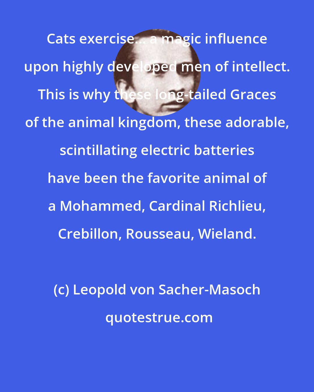 Leopold von Sacher-Masoch: Cats exercise... a magic influence upon highly developed men of intellect. This is why these long-tailed Graces of the animal kingdom, these adorable, scintillating electric batteries have been the favorite animal of a Mohammed, Cardinal Richlieu, Crebillon, Rousseau, Wieland.