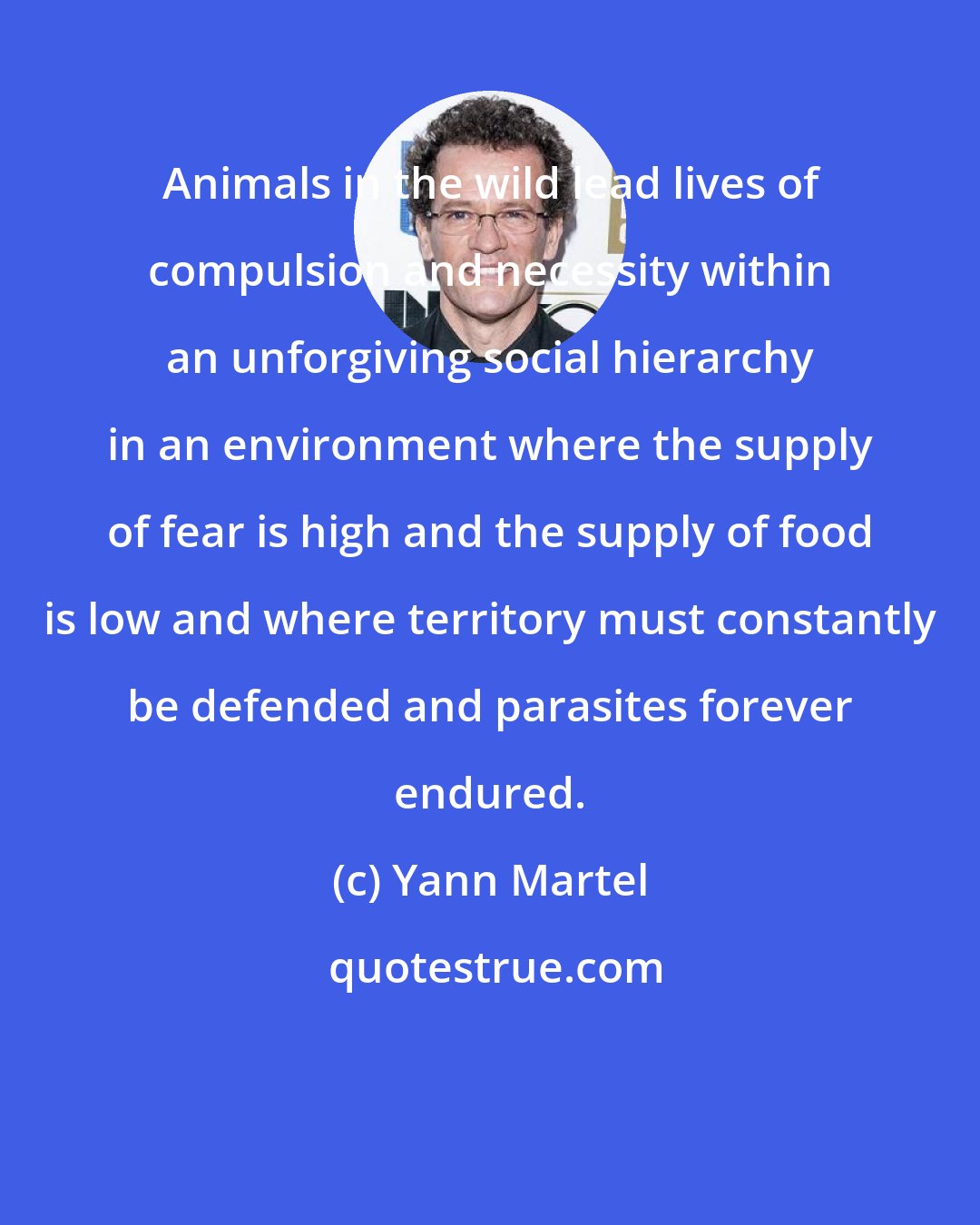 Yann Martel: Animals in the wild lead lives of compulsion and necessity within an unforgiving social hierarchy in an environment where the supply of fear is high and the supply of food is low and where territory must constantly be defended and parasites forever endured.