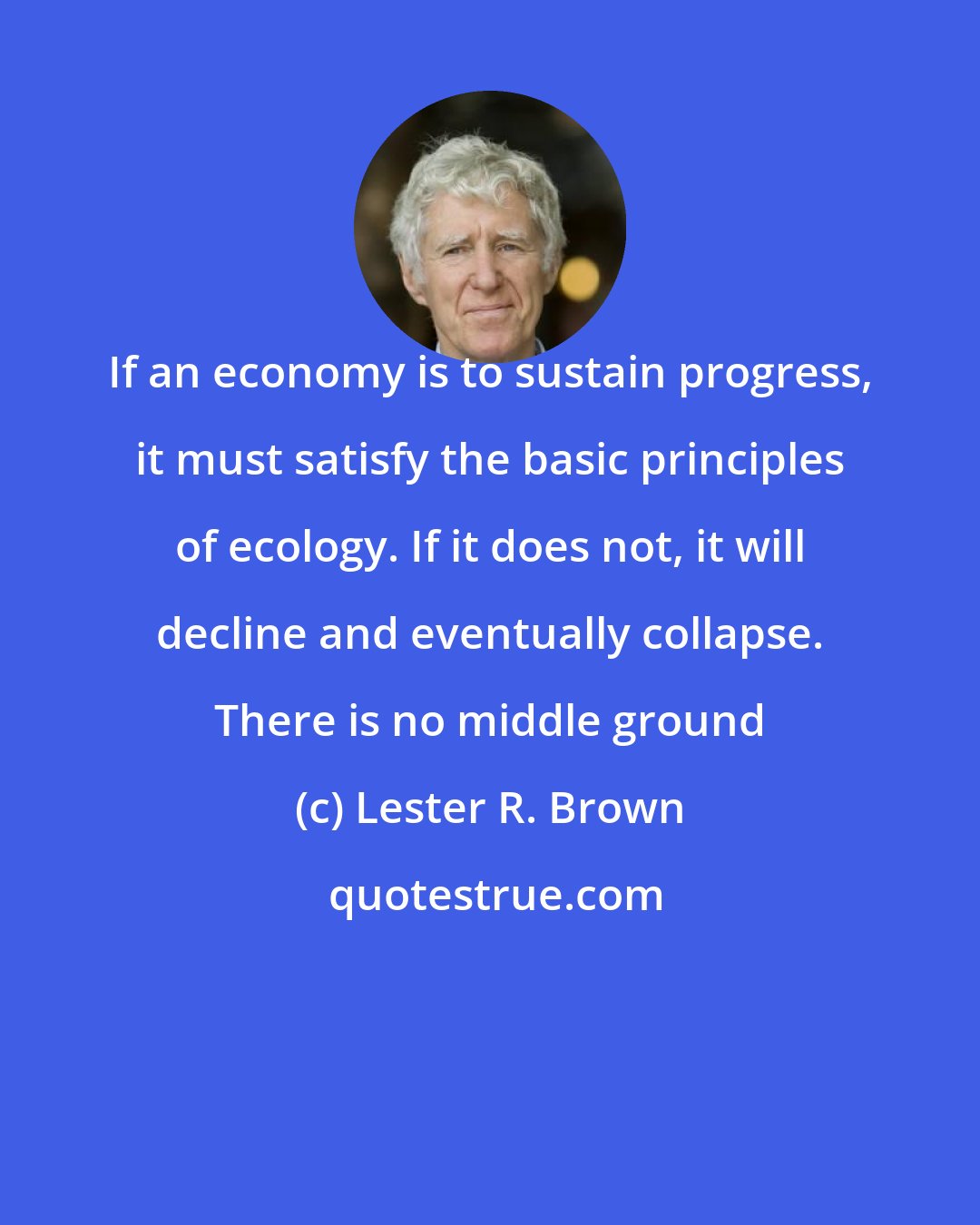 Lester R. Brown: If an economy is to sustain progress, it must satisfy the basic principles of ecology. If it does not, it will decline and eventually collapse. There is no middle ground
