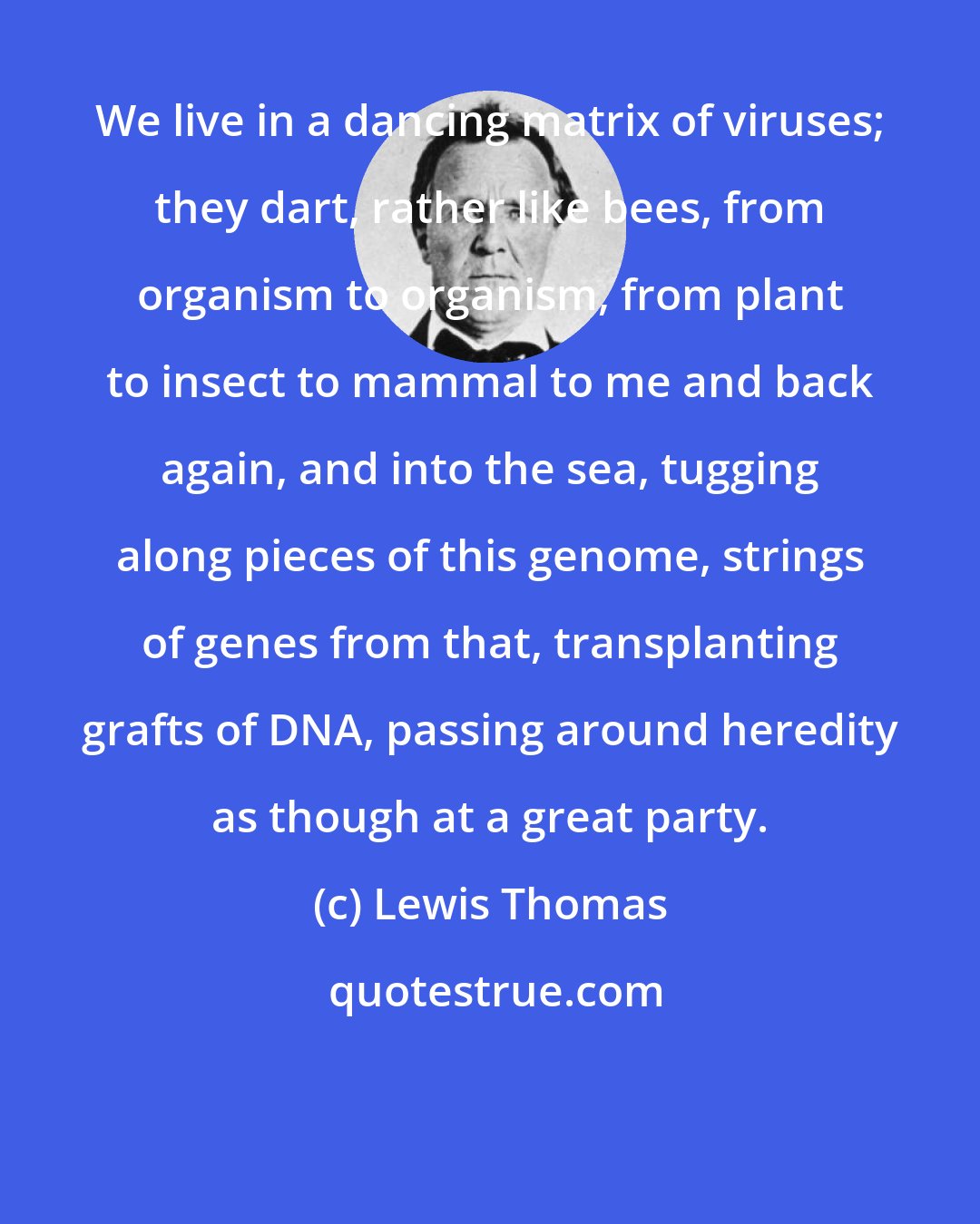 Lewis Thomas: We live in a dancing matrix of viruses; they dart, rather like bees, from organism to organism, from plant to insect to mammal to me and back again, and into the sea, tugging along pieces of this genome, strings of genes from that, transplanting grafts of DNA, passing around heredity as though at a great party.