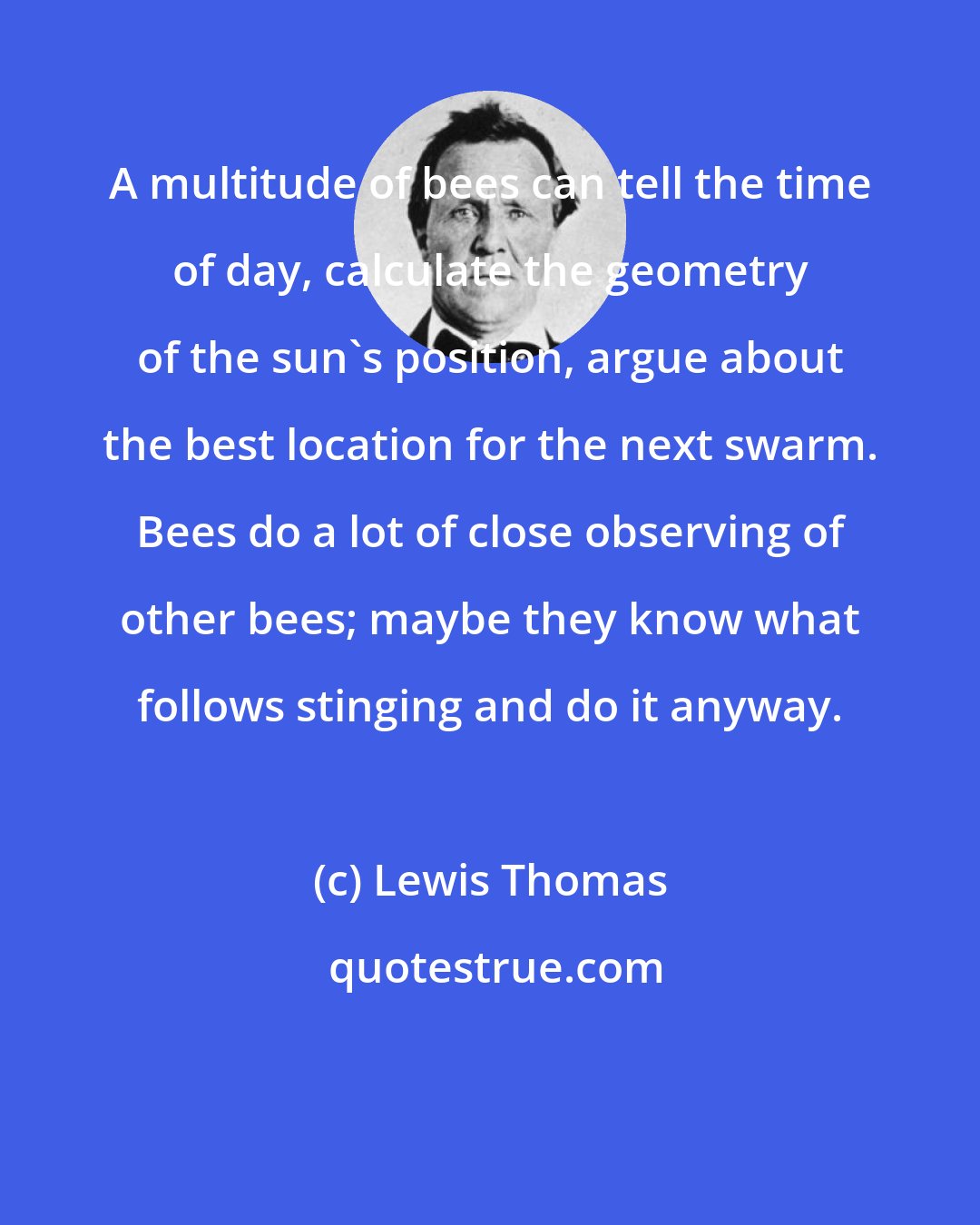 Lewis Thomas: A multitude of bees can tell the time of day, calculate the geometry of the sun's position, argue about the best location for the next swarm. Bees do a lot of close observing of other bees; maybe they know what follows stinging and do it anyway.