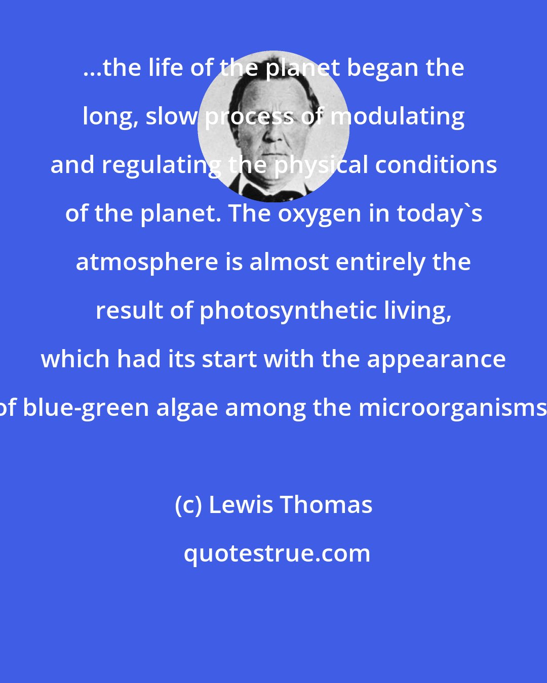 Lewis Thomas: ...the life of the planet began the long, slow process of modulating and regulating the physical conditions of the planet. The oxygen in today's atmosphere is almost entirely the result of photosynthetic living, which had its start with the appearance of blue-green algae among the microorganisms.