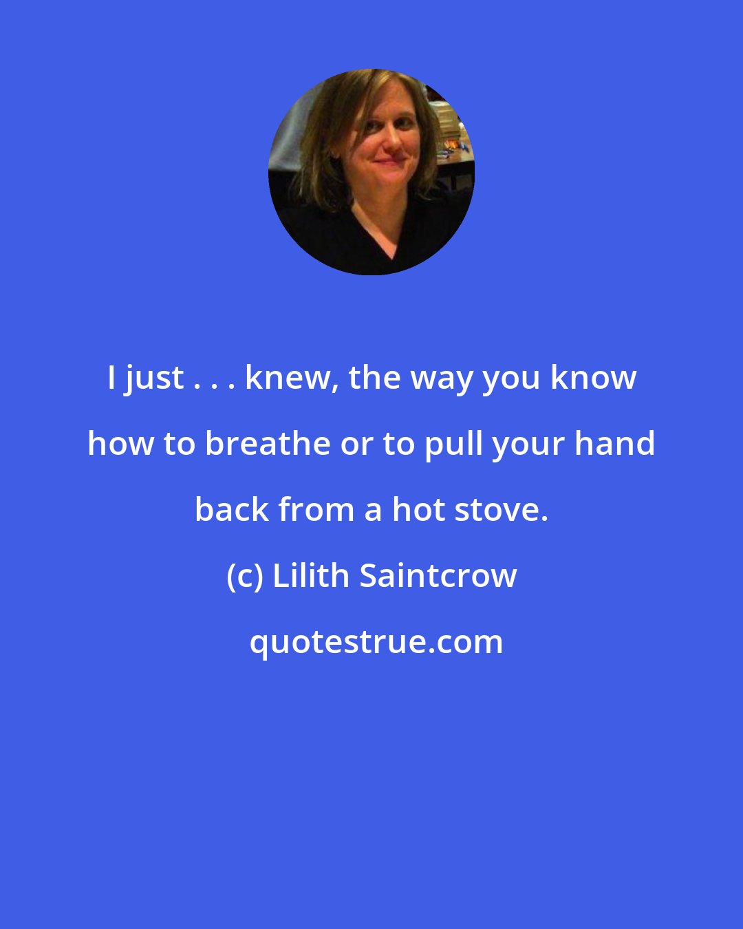 Lilith Saintcrow: I just . . . knew, the way you know how to breathe or to pull your hand back from a hot stove.