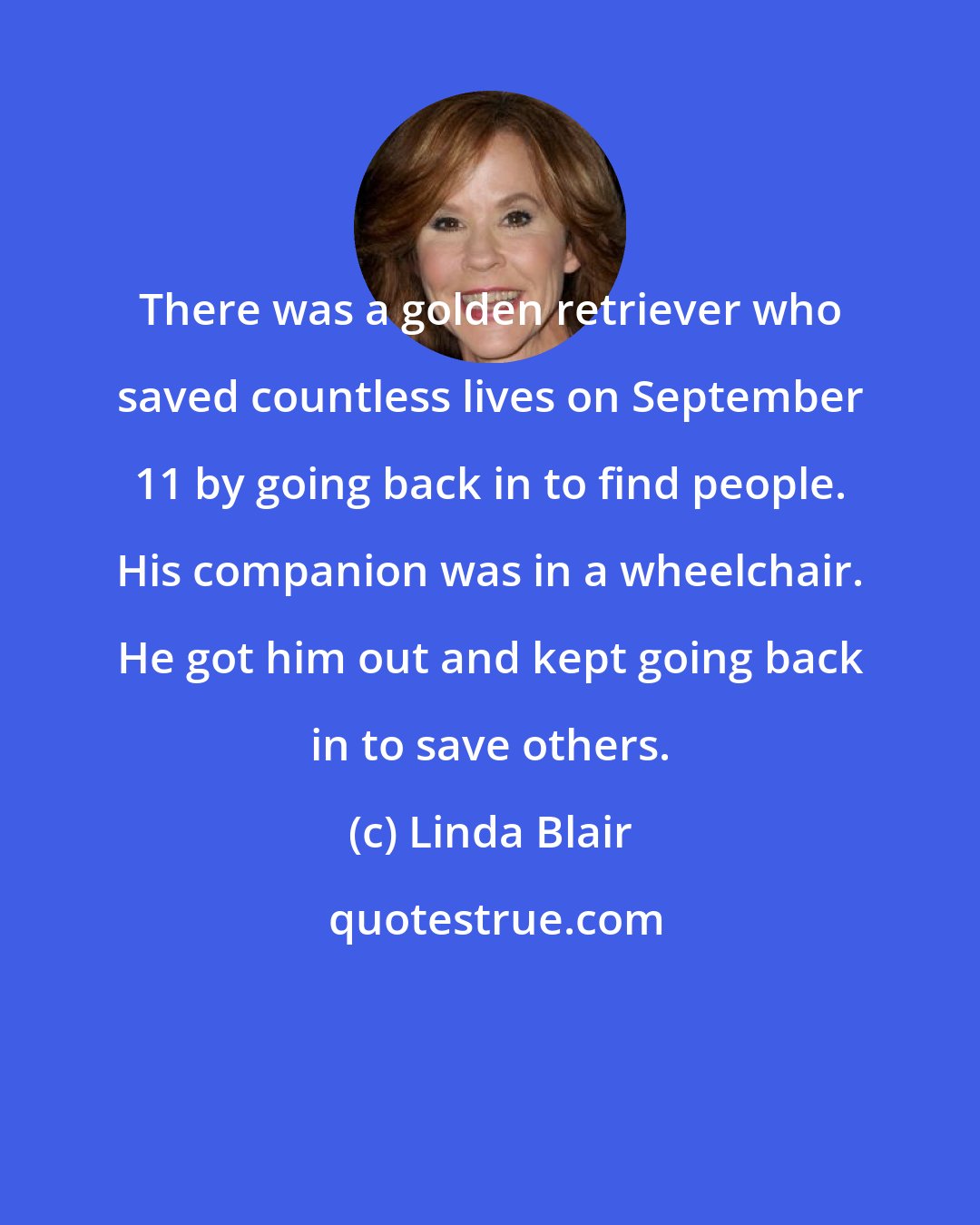 Linda Blair: There was a golden retriever who saved countless lives on September 11 by going back in to find people. His companion was in a wheelchair. He got him out and kept going back in to save others.