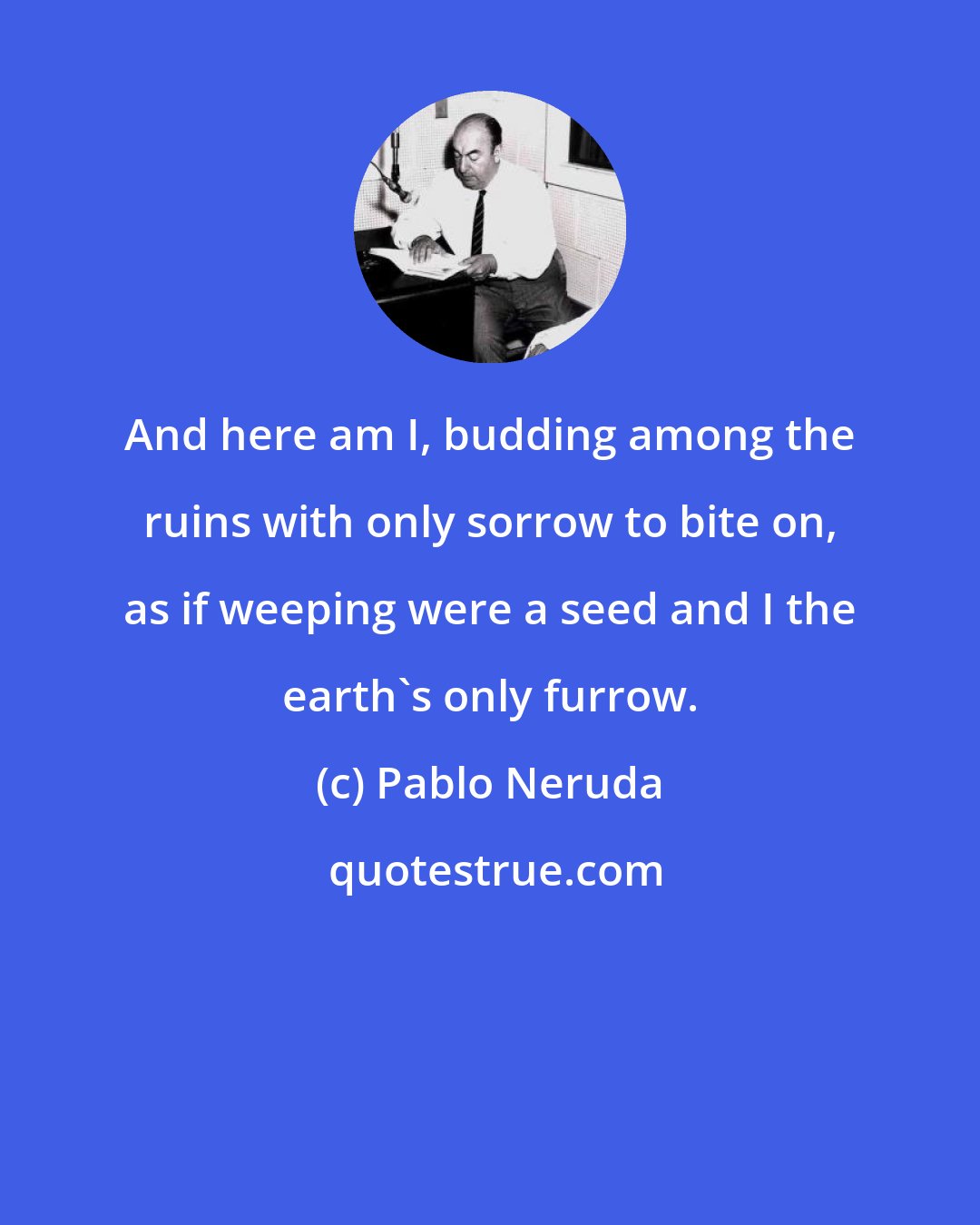 Pablo Neruda: And here am I, budding among the ruins with only sorrow to bite on, as if weeping were a seed and I the earth's only furrow.