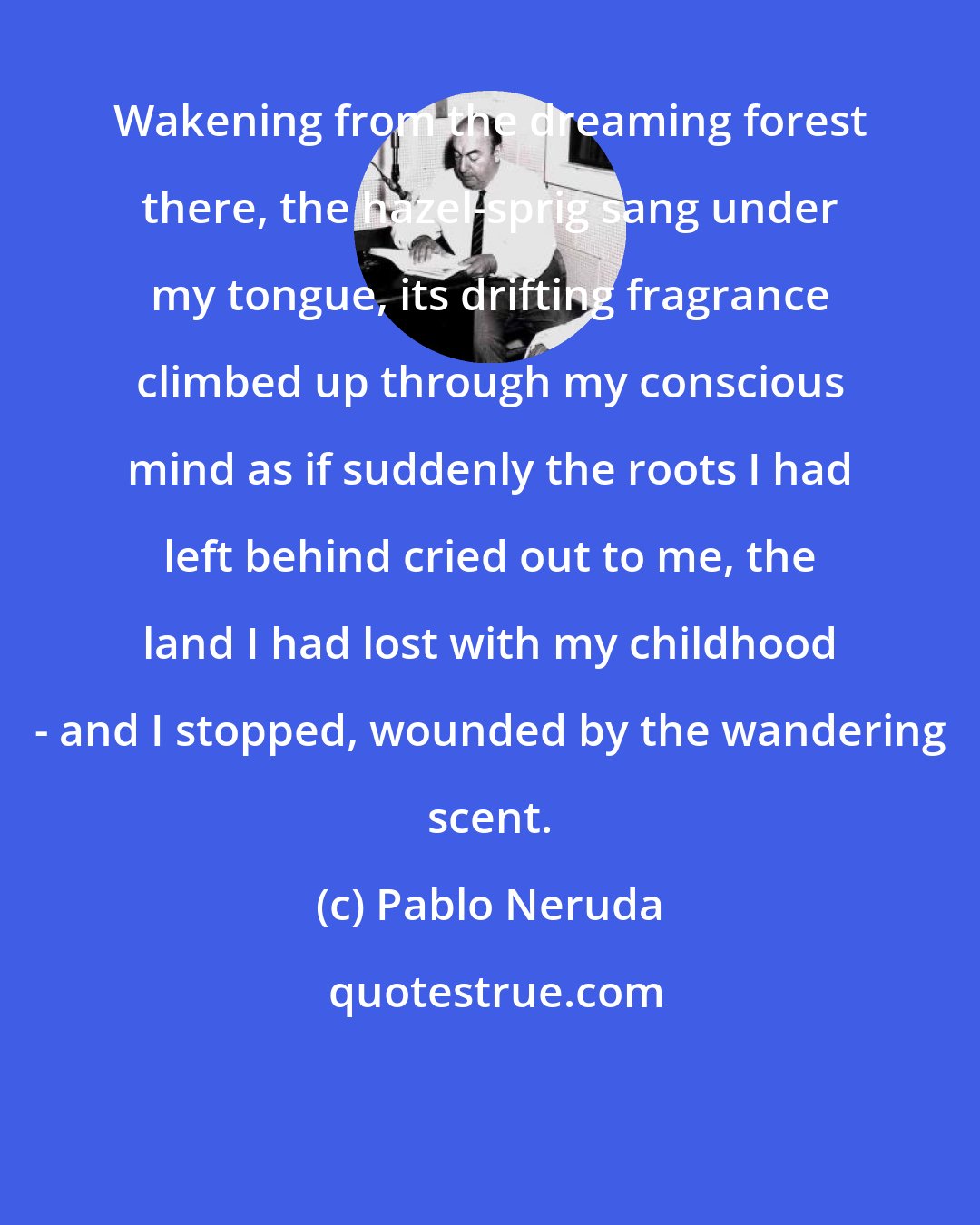 Pablo Neruda: Wakening from the dreaming forest there, the hazel-sprig sang under my tongue, its drifting fragrance climbed up through my conscious mind as if suddenly the roots I had left behind cried out to me, the land I had lost with my childhood - and I stopped, wounded by the wandering scent.