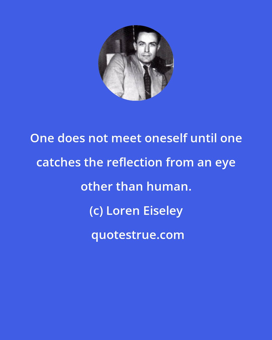 Loren Eiseley: One does not meet oneself until one catches the reflection from an eye other than human.