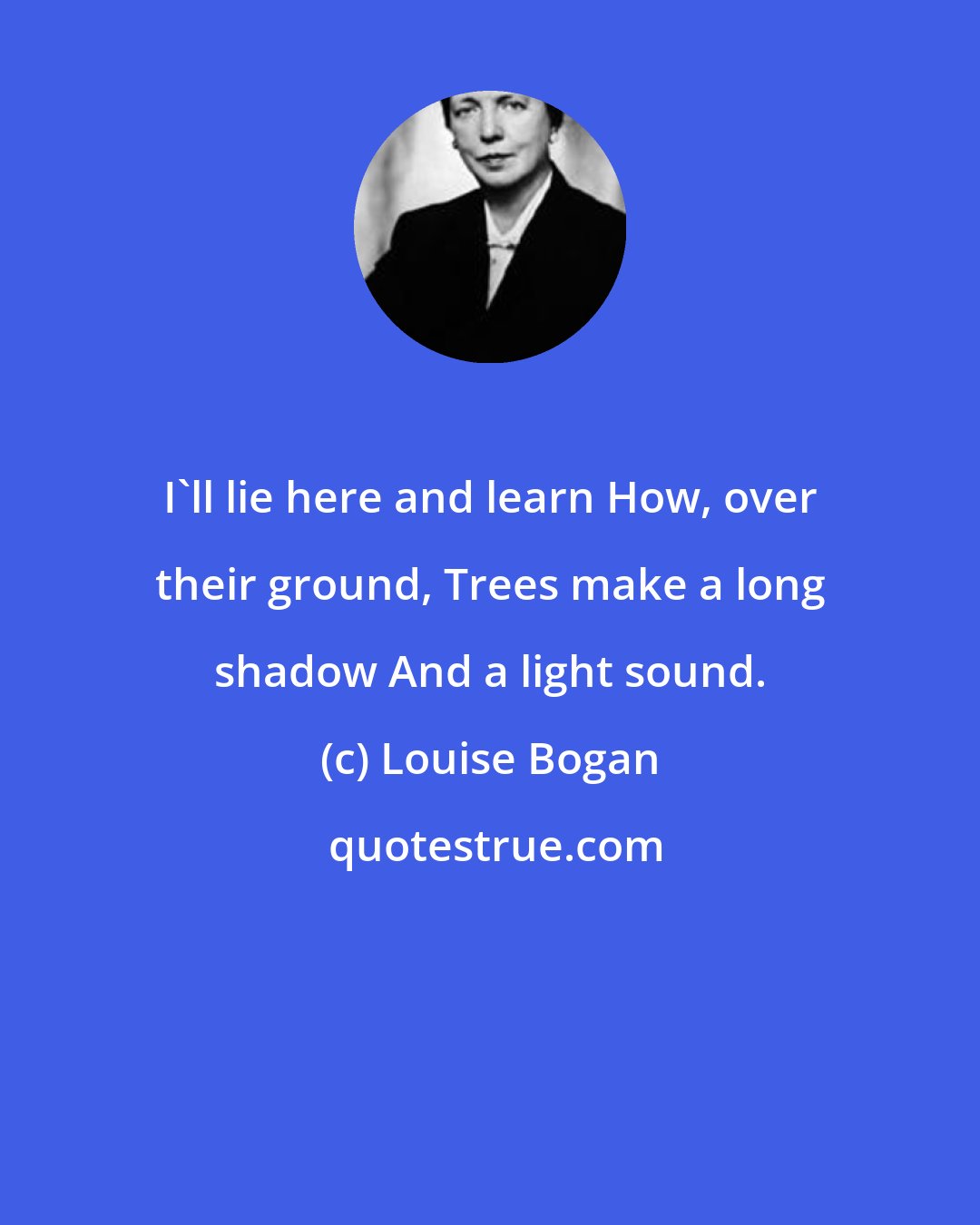 Louise Bogan: I'll lie here and learn How, over their ground, Trees make a long shadow And a light sound.