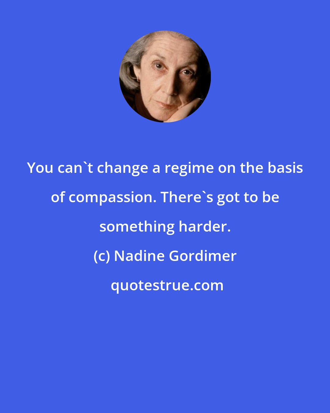 Nadine Gordimer: You can't change a regime on the basis of compassion. There's got to be something harder.