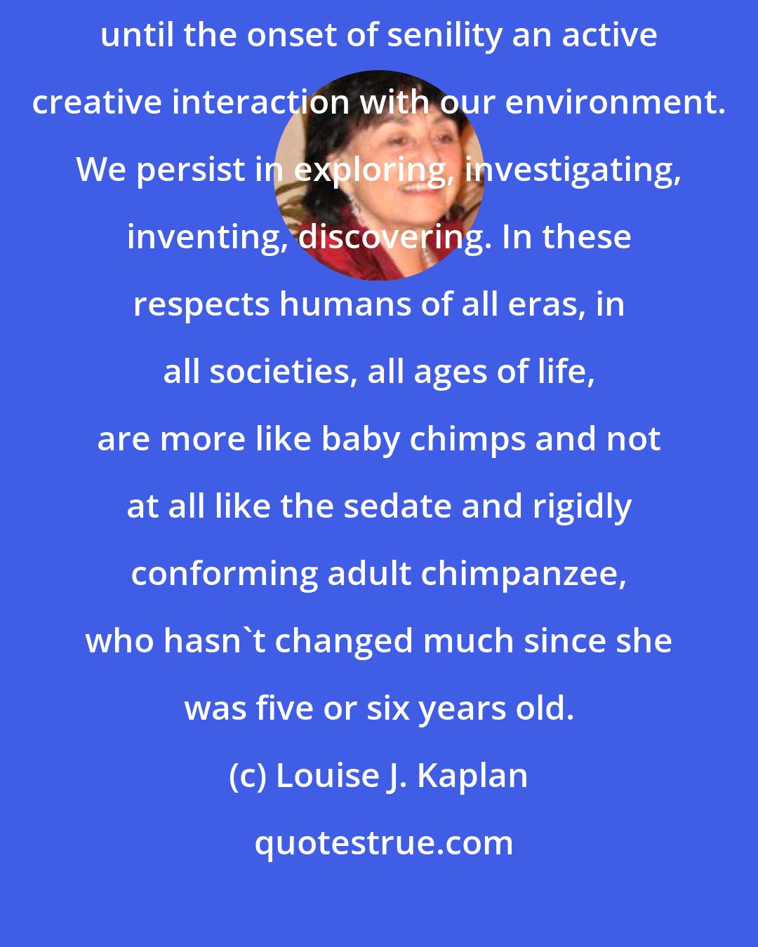 Louise J. Kaplan: Another potentiality of our irrepressible juvenility is a capacity to maintain until the onset of senility an active creative interaction with our environment. We persist in exploring, investigating, inventing, discovering. In these respects humans of all eras, in all societies, all ages of life, are more like baby chimps and not at all like the sedate and rigidly conforming adult chimpanzee, who hasn't changed much since she was five or six years old.