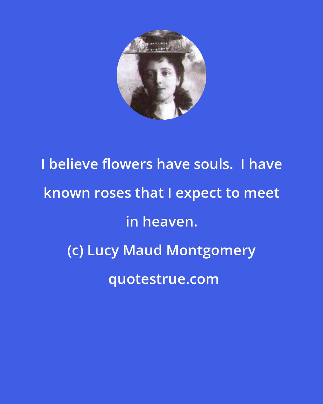 Lucy Maud Montgomery: I believe flowers have souls.  I have known roses that I expect to meet in heaven.