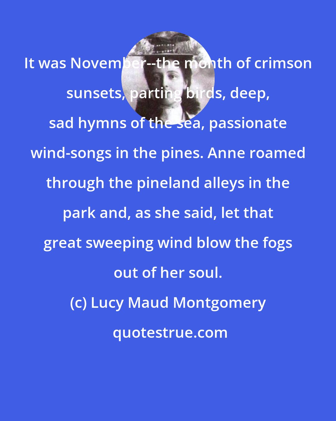 Lucy Maud Montgomery: It was November--the month of crimson sunsets, parting birds, deep, sad hymns of the sea, passionate wind-songs in the pines. Anne roamed through the pineland alleys in the park and, as she said, let that great sweeping wind blow the fogs out of her soul.