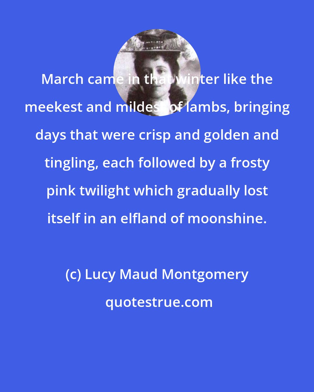 Lucy Maud Montgomery: March came in that winter like the meekest and mildest of lambs, bringing days that were crisp and golden and tingling, each followed by a frosty pink twilight which gradually lost itself in an elfland of moonshine.