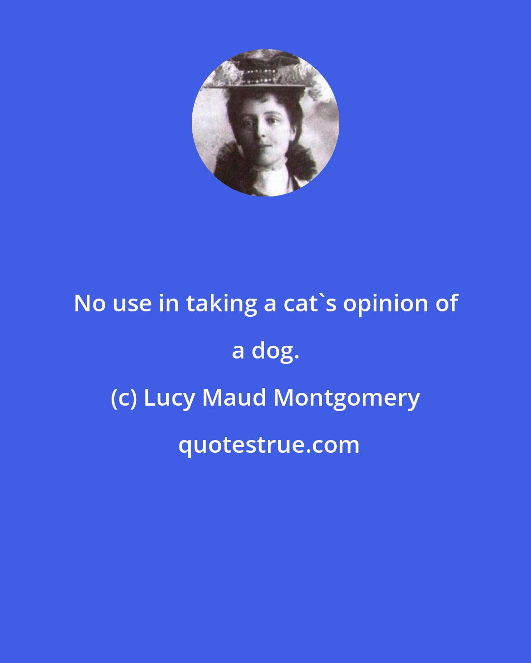 Lucy Maud Montgomery: No use in taking a cat's opinion of a dog.