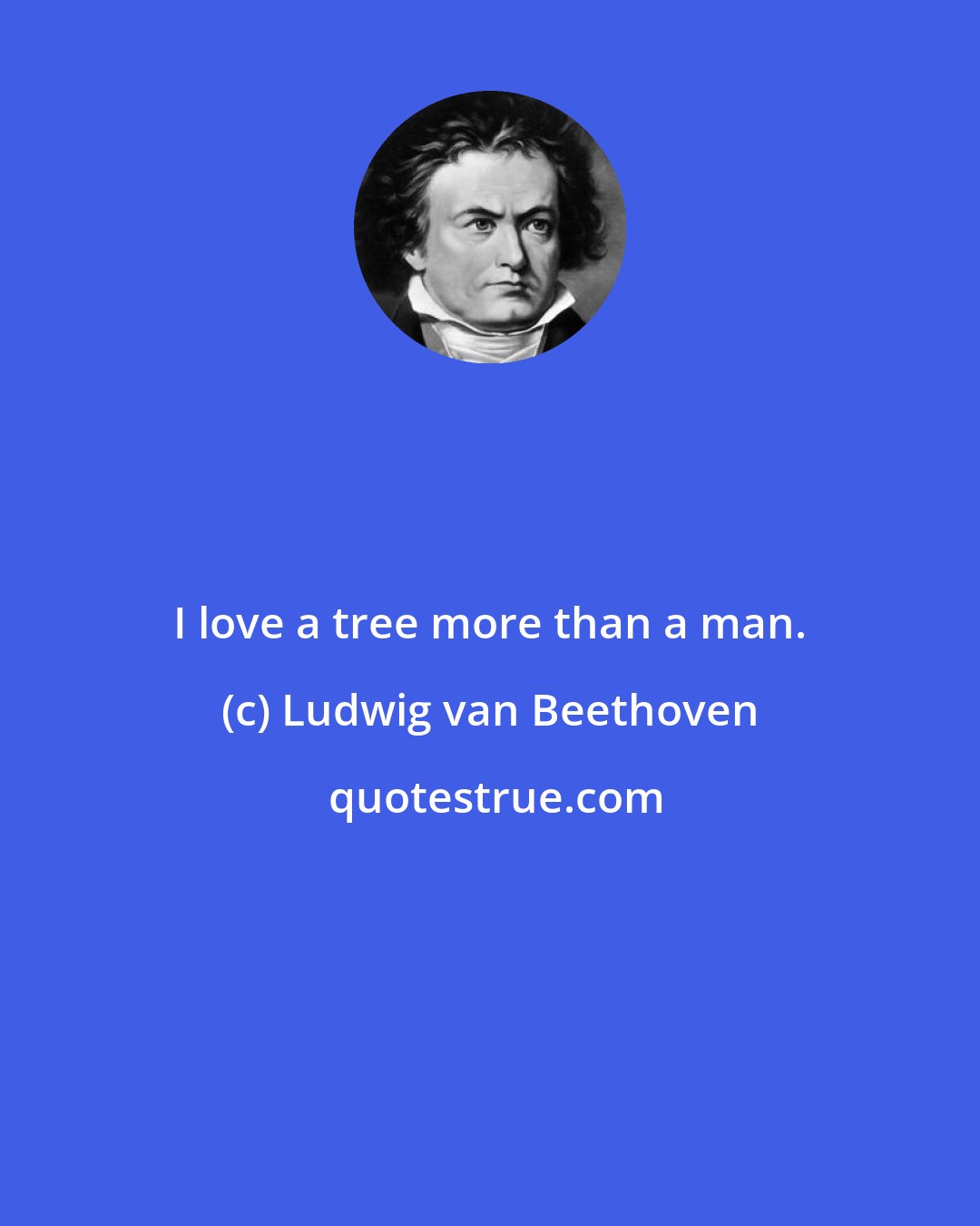 Ludwig van Beethoven: I love a tree more than a man.