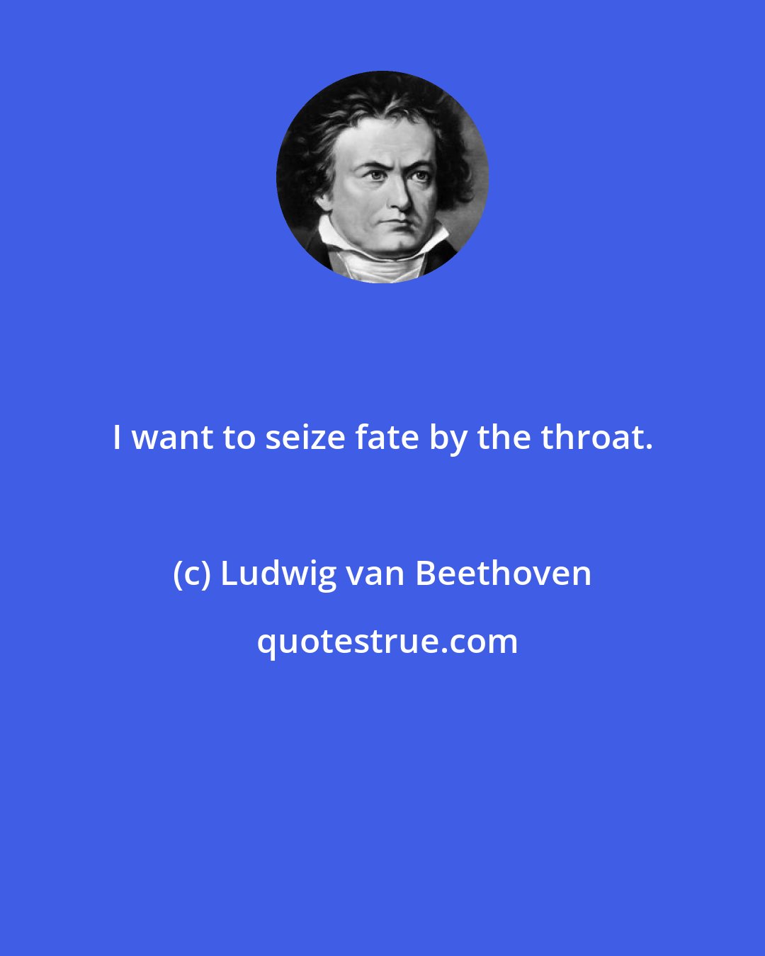 Ludwig van Beethoven: I want to seize fate by the throat.
